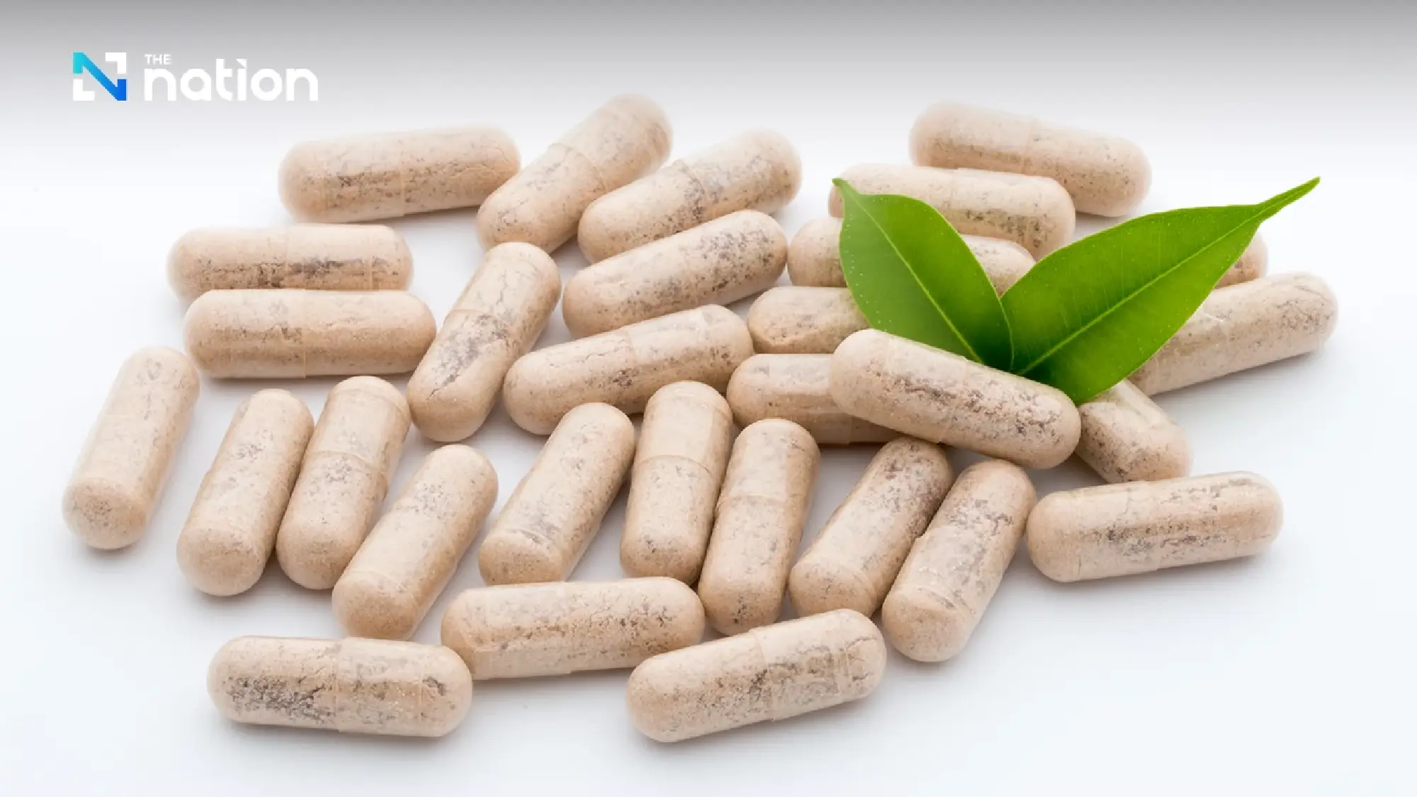 Push for Thai probiotic strains to compete in the global market