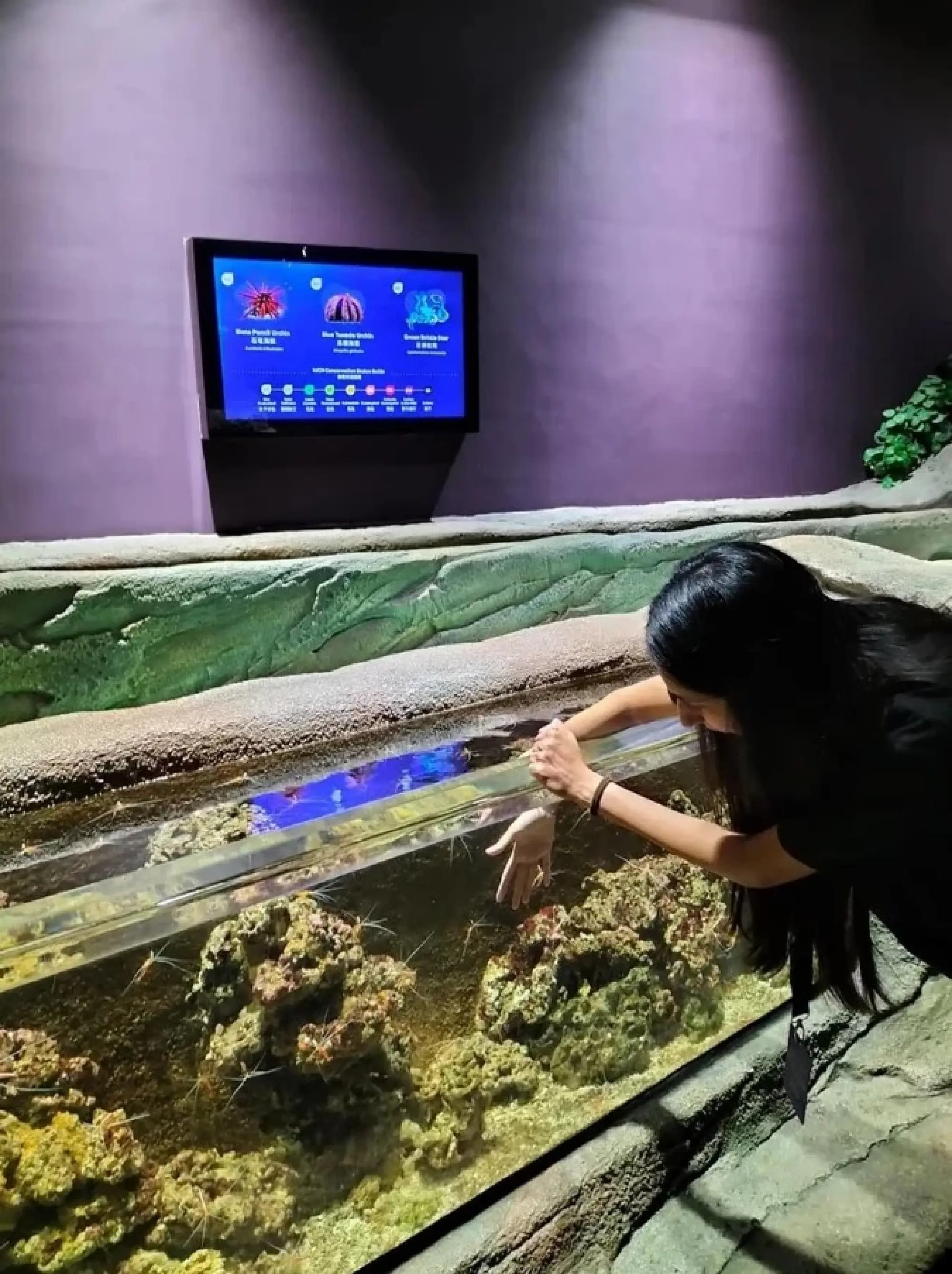 Sleep with the fishes: Glamping at the Singapore Oceanarium