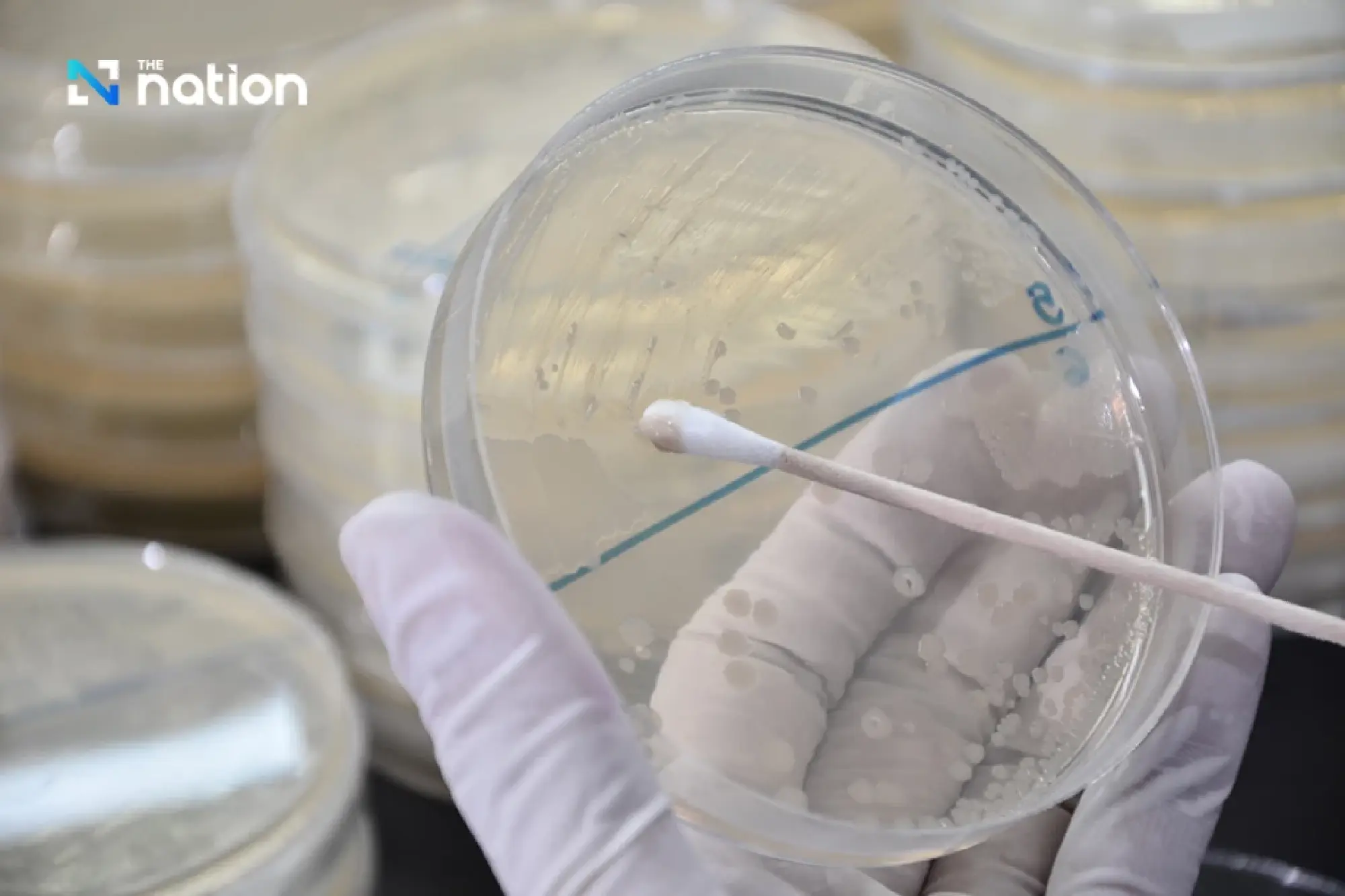 Department of Medical Sciences reveals fungal and Clostridium contamination in Thai herbal inhaler product