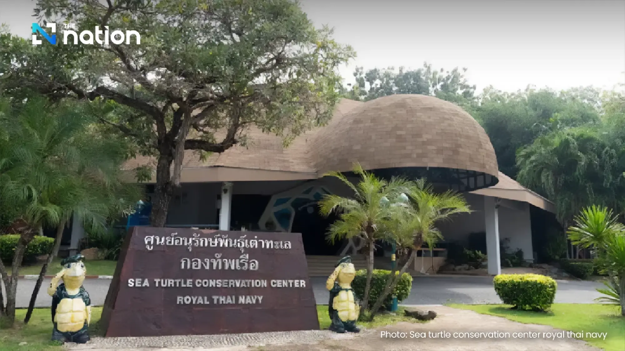 The Queen Who Gave an Island to the Turtles