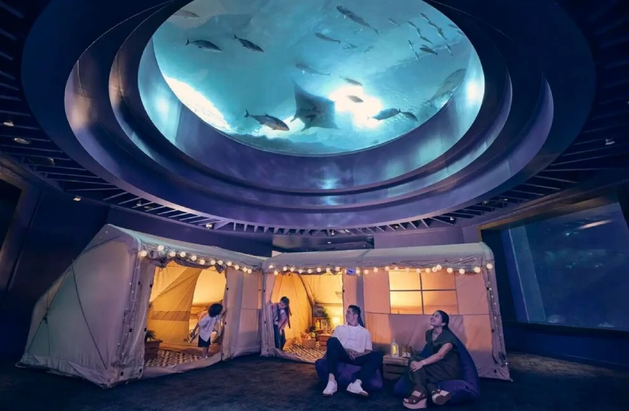 Sleep with the fishes: Glamping at the Singapore Oceanarium
