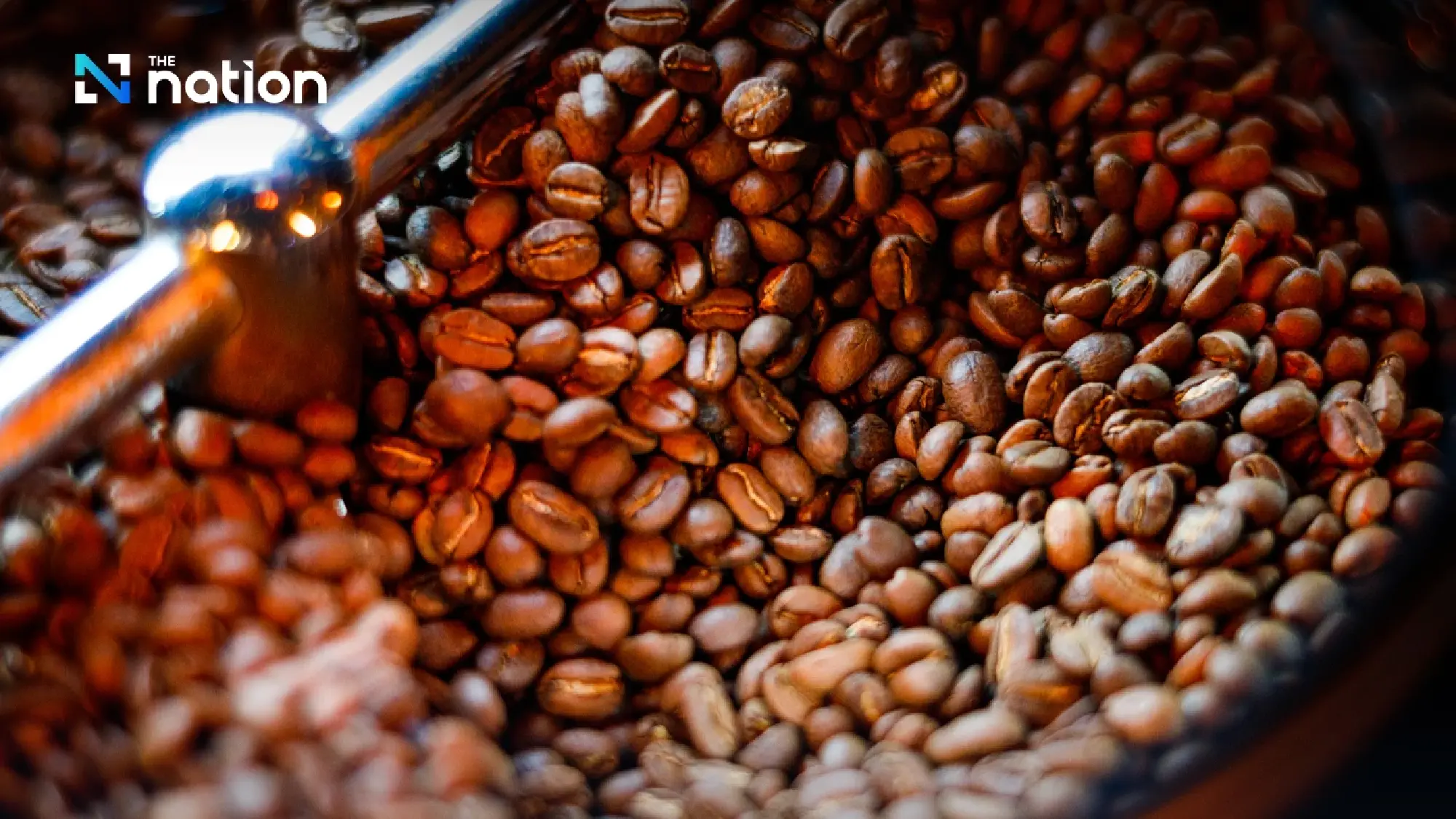 Vietnam’s coffee exports surpass $7 billion for the first time