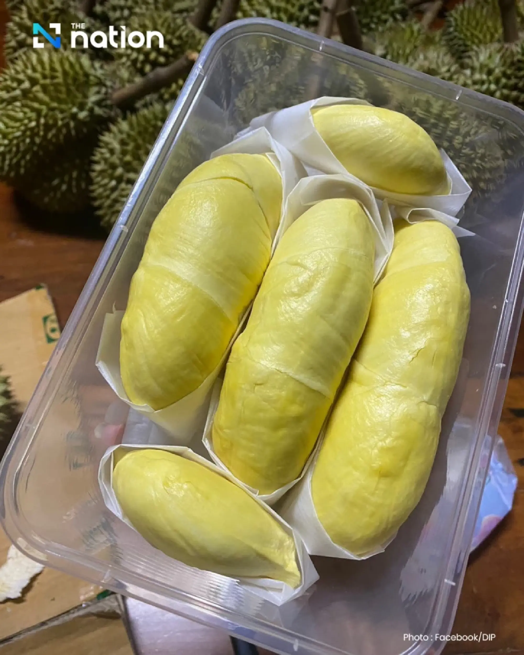 Durian Gold Rush: Thailand's Top Export Rakes in Over 10 Billion Baht