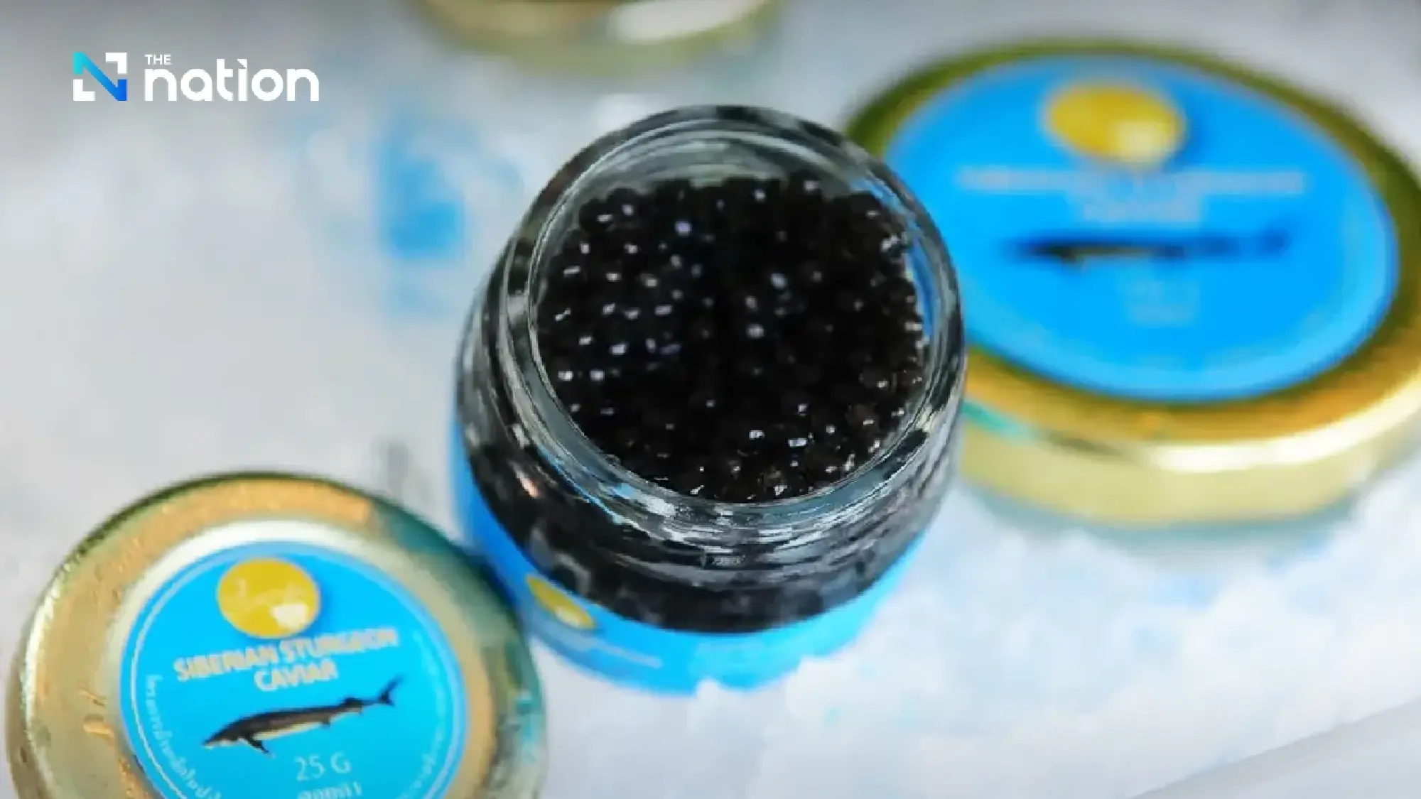 Royal Vision: How Thailand Became a Caviar Producer in the Tropics