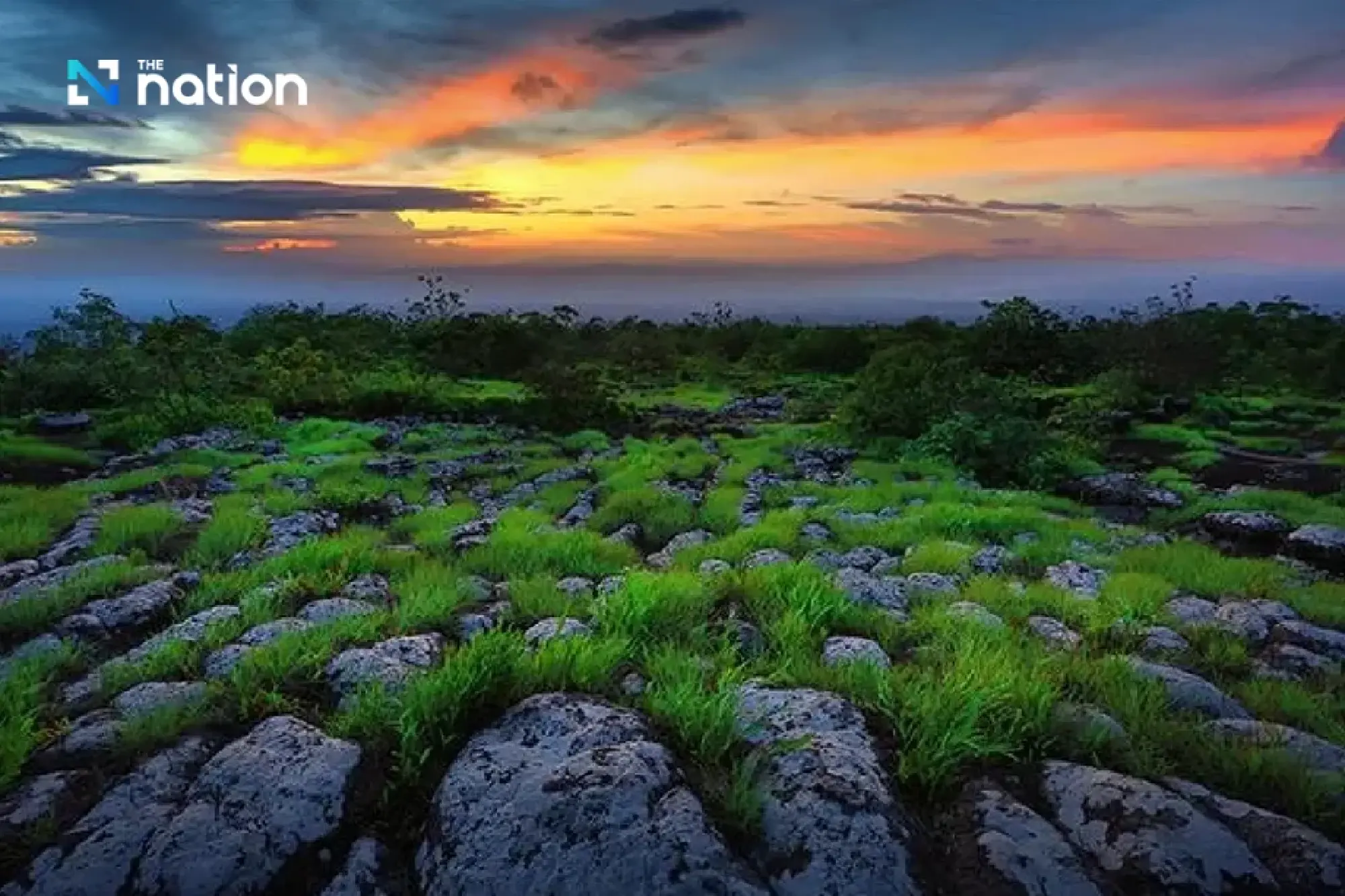 Explore the misty beauty of Phu Hin Rong Kla National Park this early winter