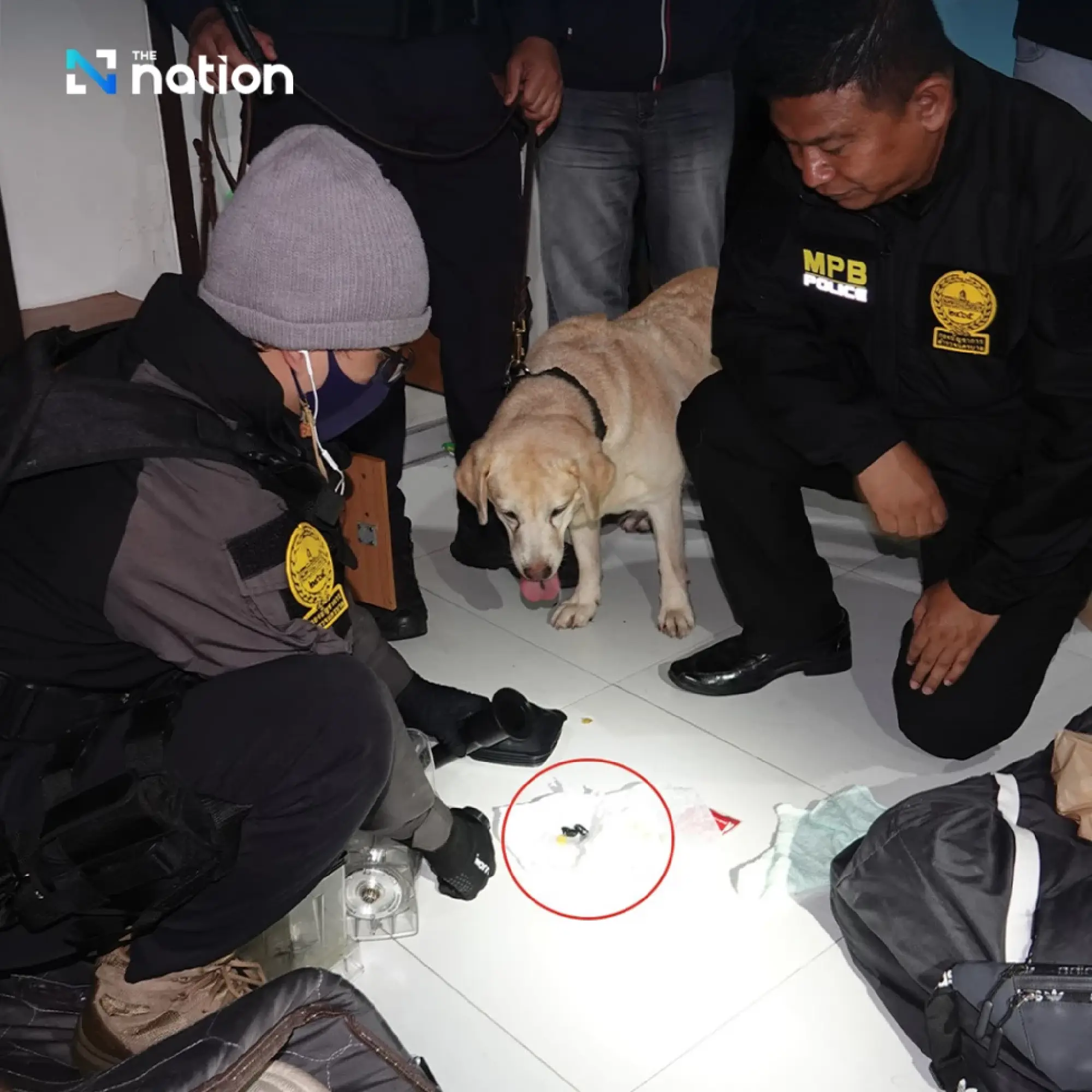 Seven Arab men, Thai woman arrested in Bangkok for alleged drug dealing