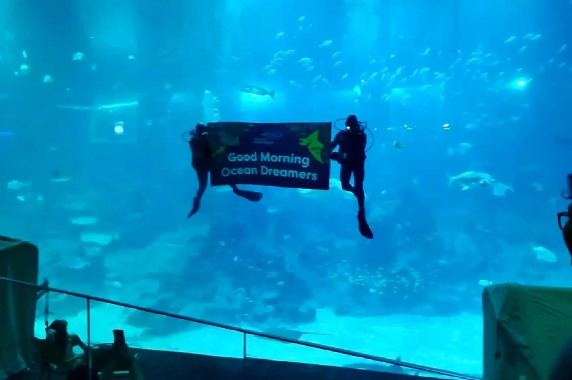 Sleep with the fishes: Glamping at the Singapore Oceanarium