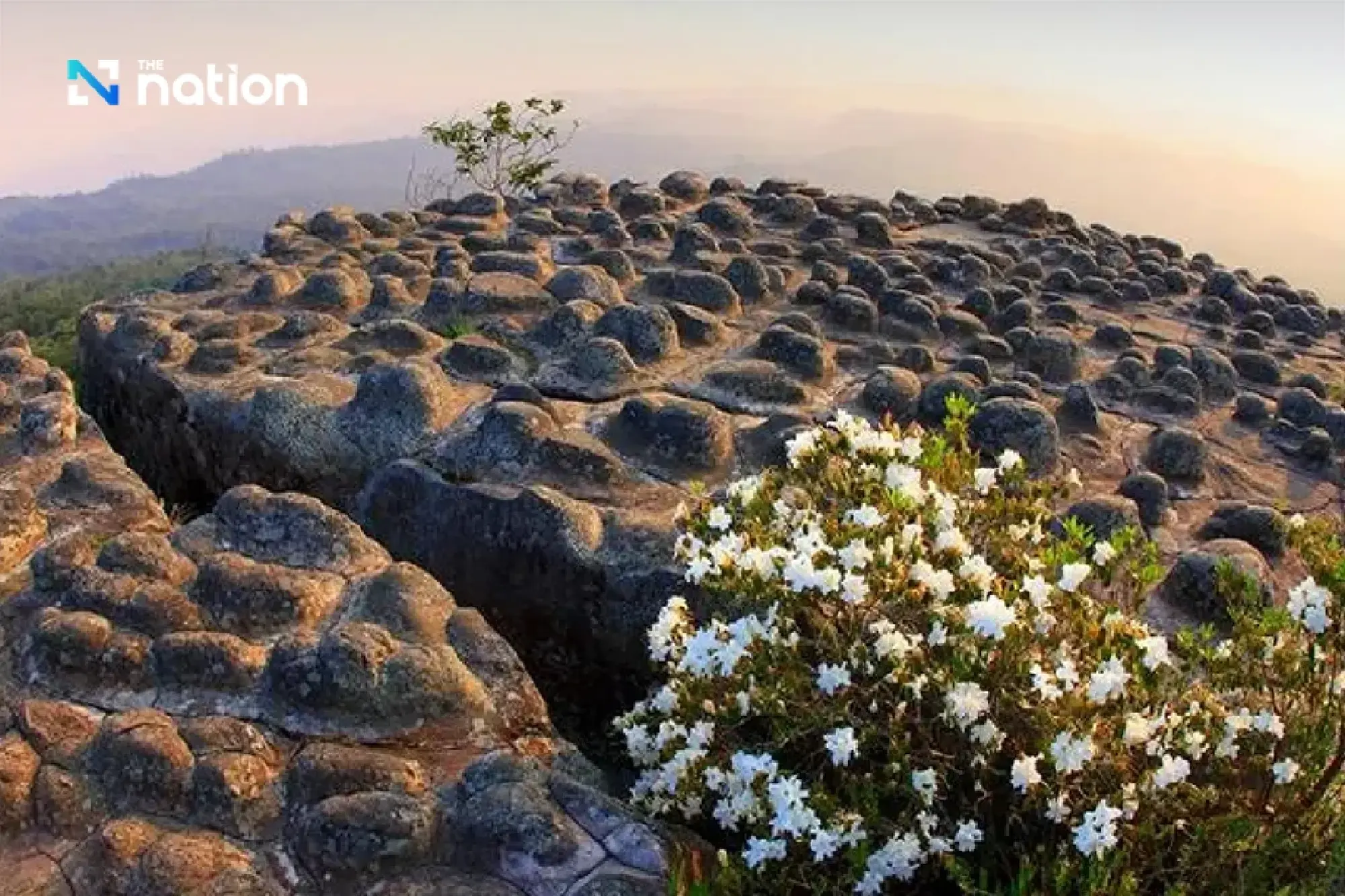 Explore the misty beauty of Phu Hin Rong Kla National Park this early winter