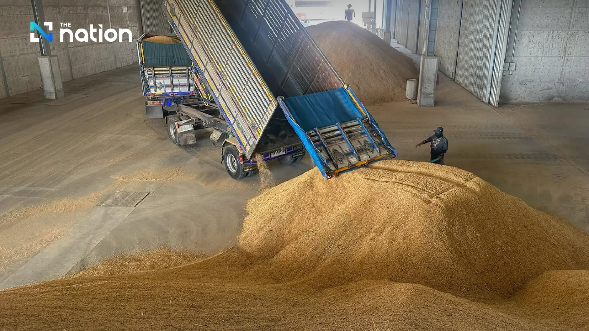 Rice Department to discuss measures to prevent fall in paddy prices for new harvest