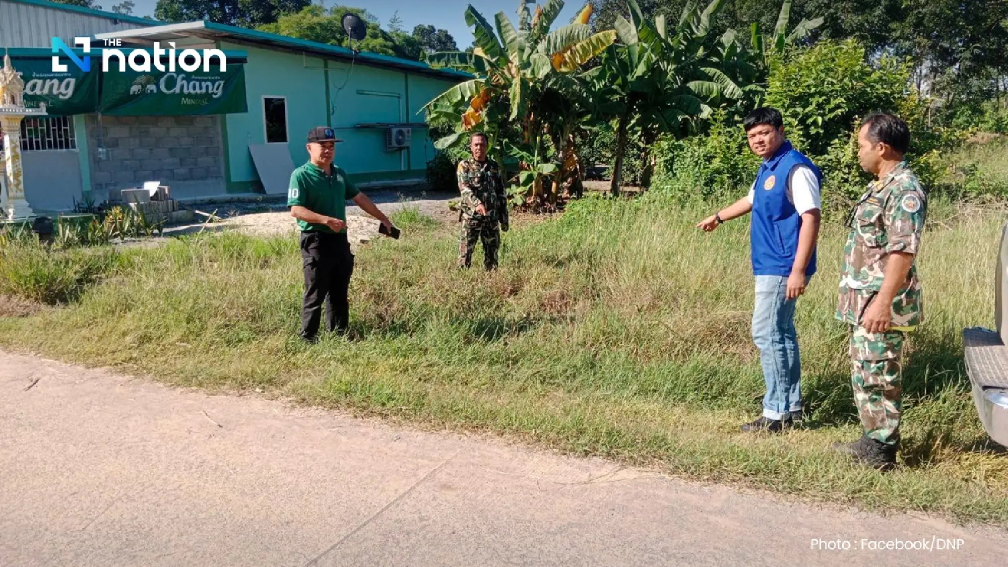 DNP to seize lion that escaped and attacked two in Kanchanaburi