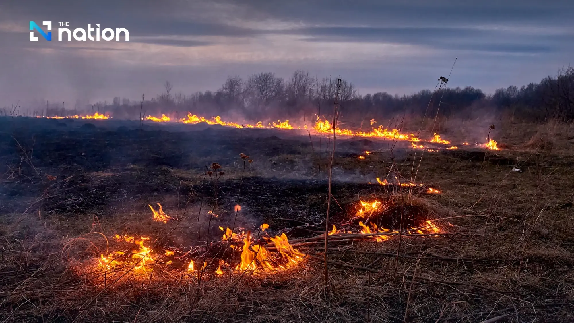 Thaicom harnesses Thai-made AI to boost agriculture and curb pollution