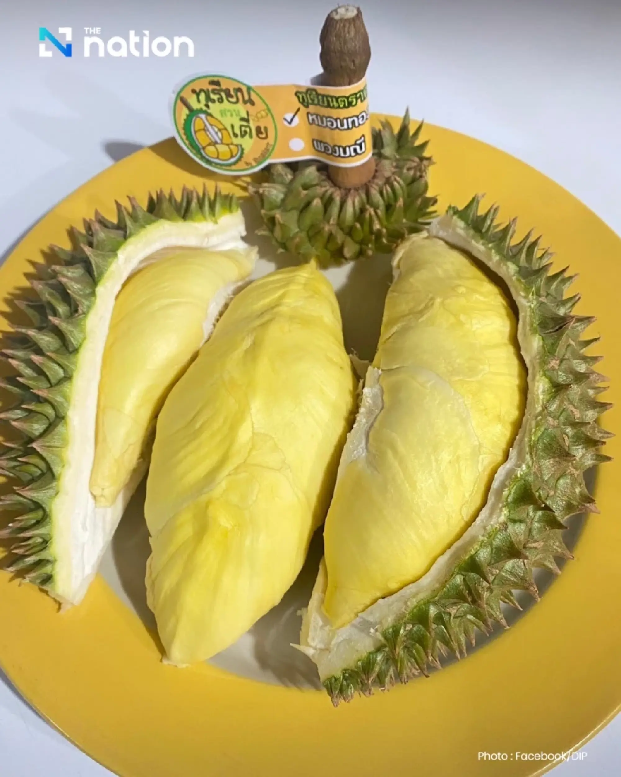 Durian Gold Rush: Thailand's Top Export Rakes in Over 10 Billion Baht