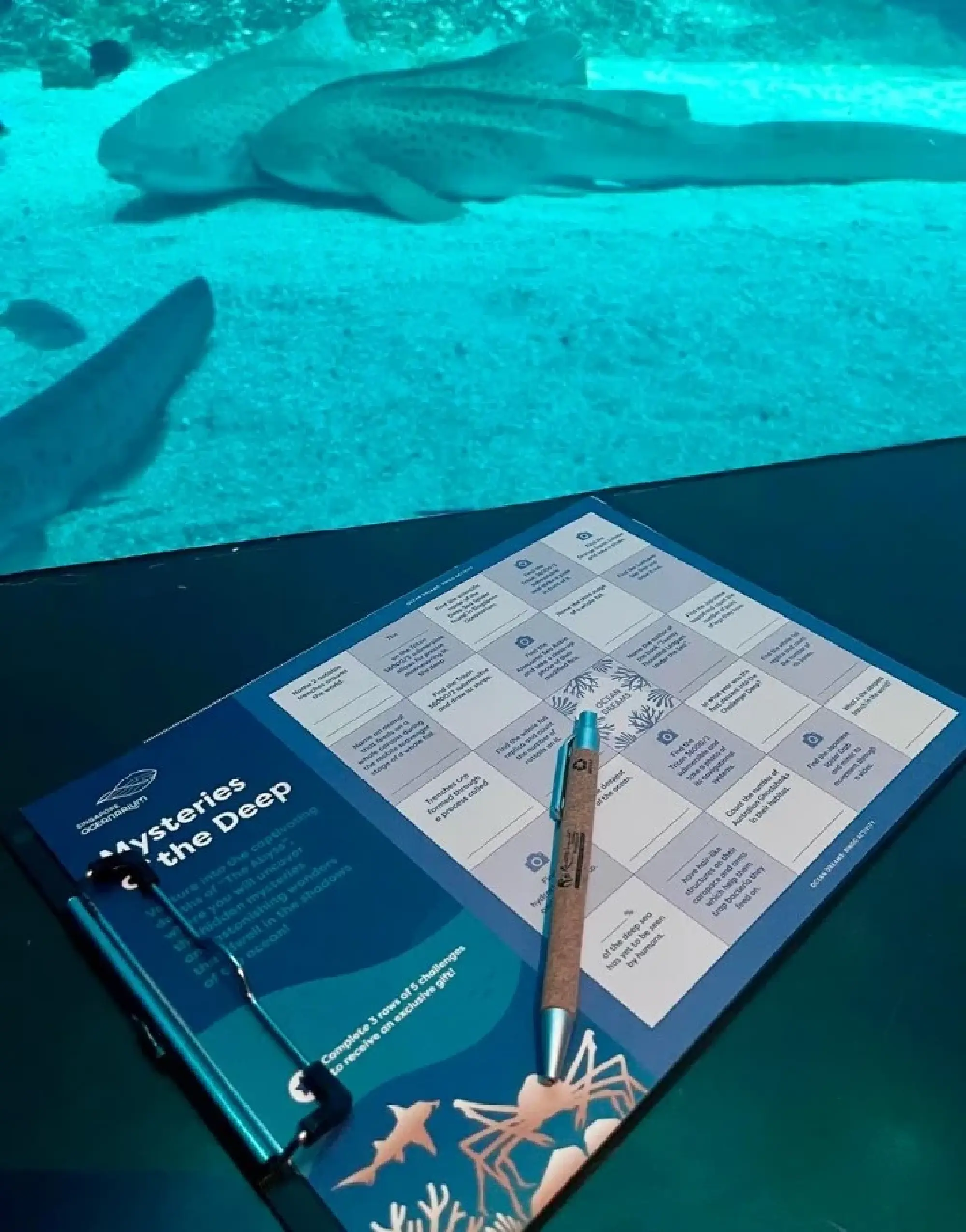 Sleep with the fishes: Glamping at the Singapore Oceanarium