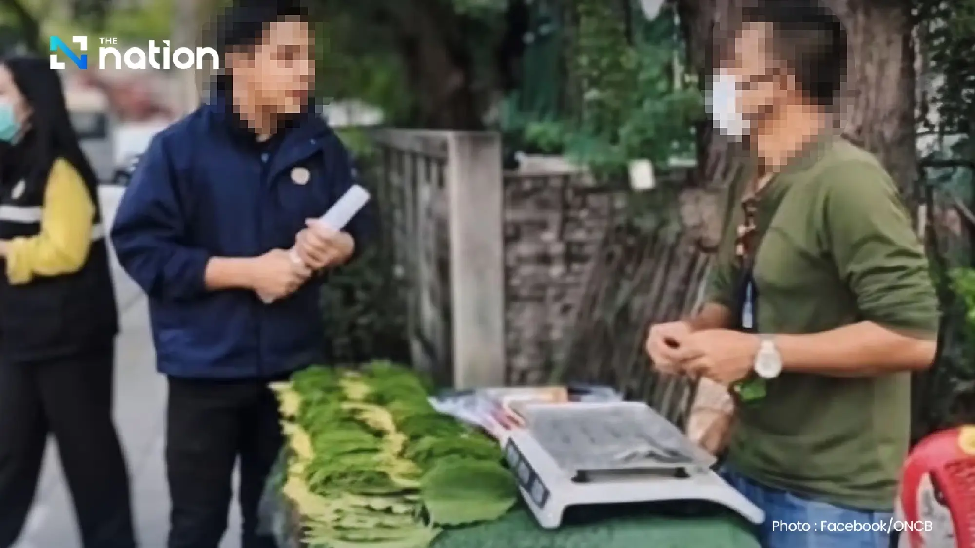 ONCB starts enforcing strict rules to control kratom leaf sales