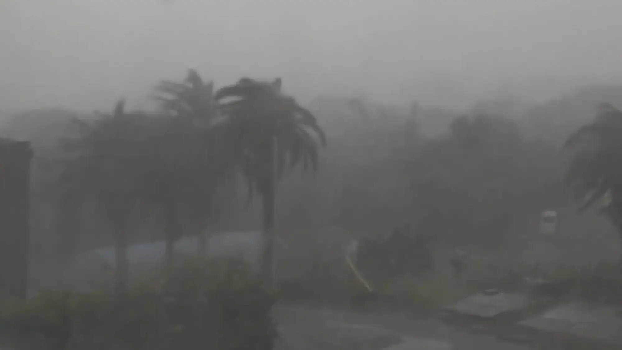 Japan lowers alerts as Typhoon Halong moves away