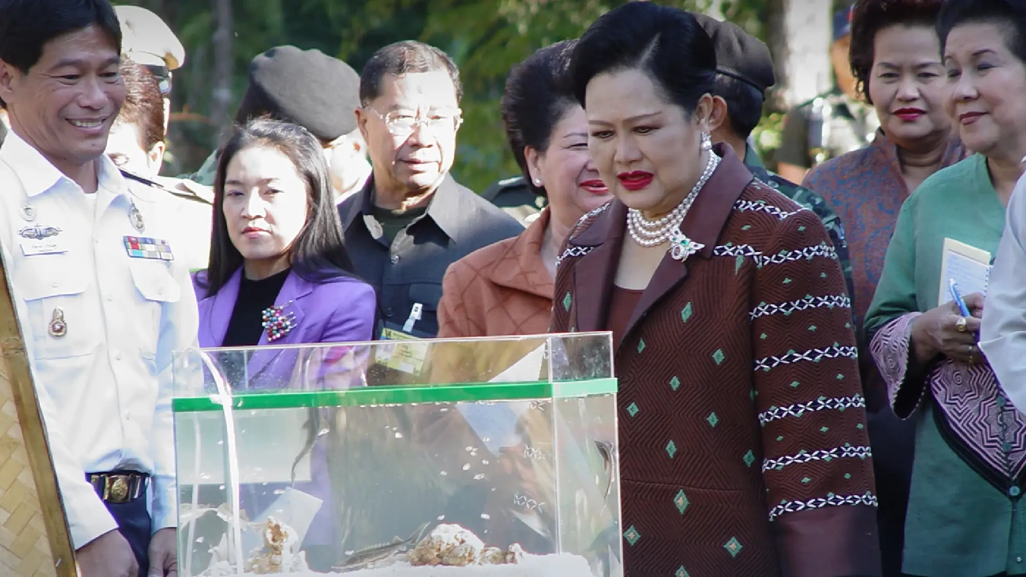 Royal Vision: How Thailand Became a Caviar Producer in the Tropics