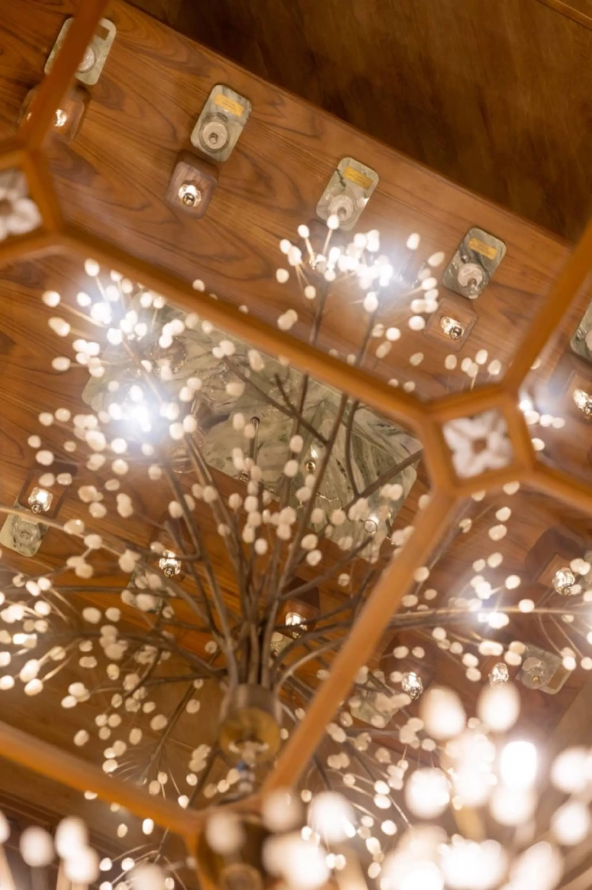 ORGANIKA Rebrands as “Maison Organika,” Elevating to a Luxury Fragrance House with Global Ambition