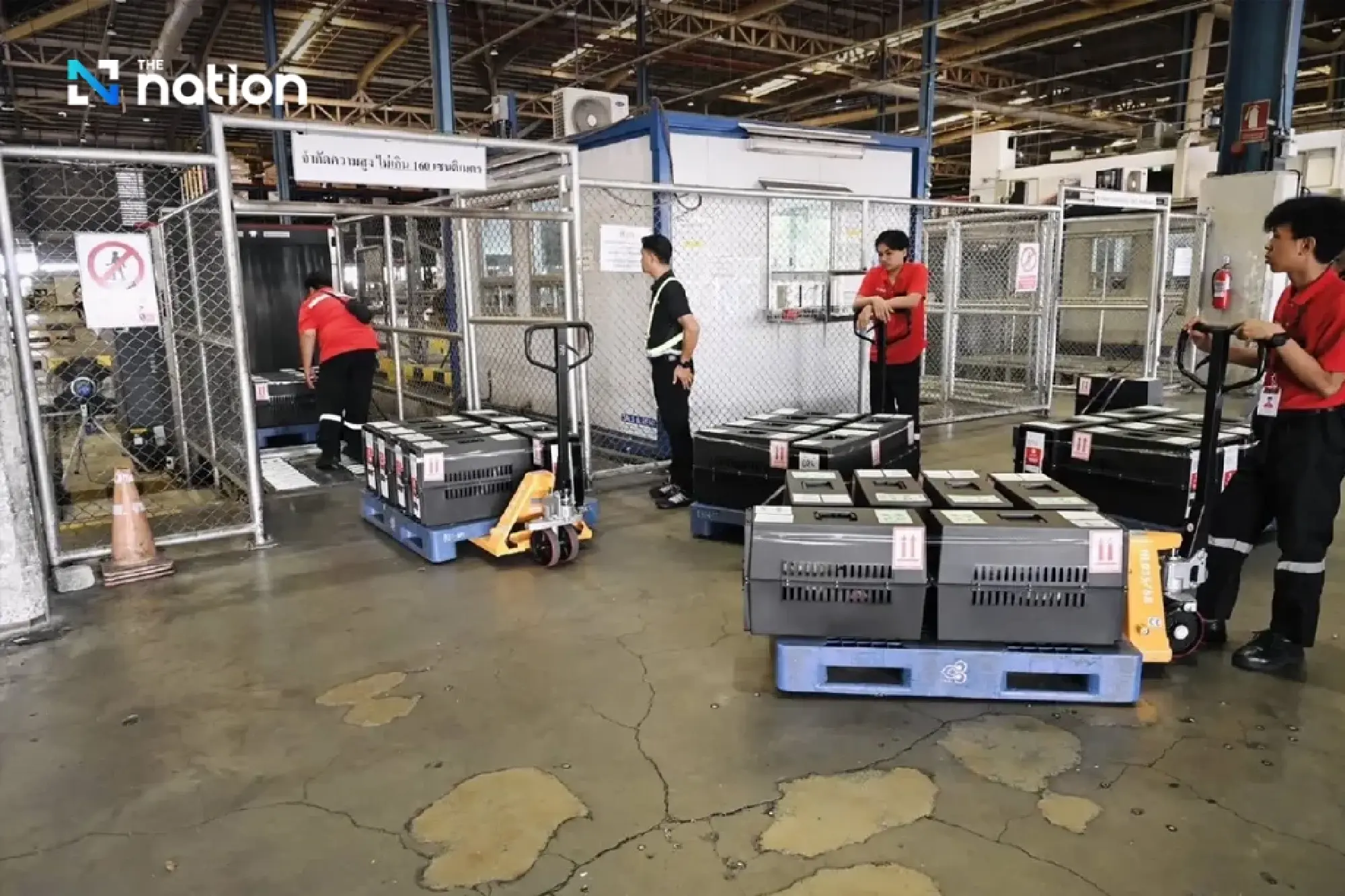 Thailand exports 403 Thai game fowl to Indonesia in four months