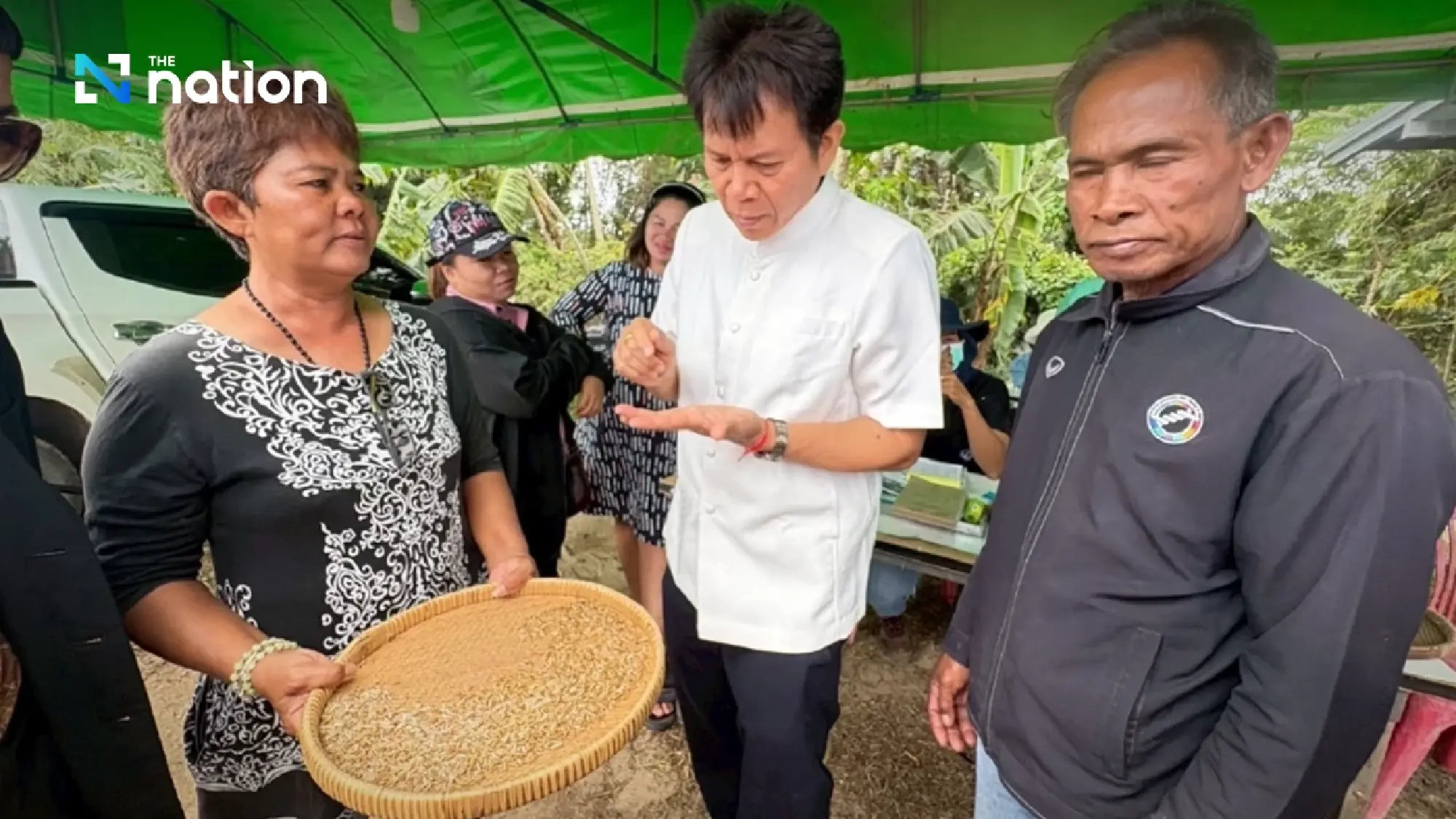 Thai rice market surges as jasmine rice hits 16,100 baht per tonne