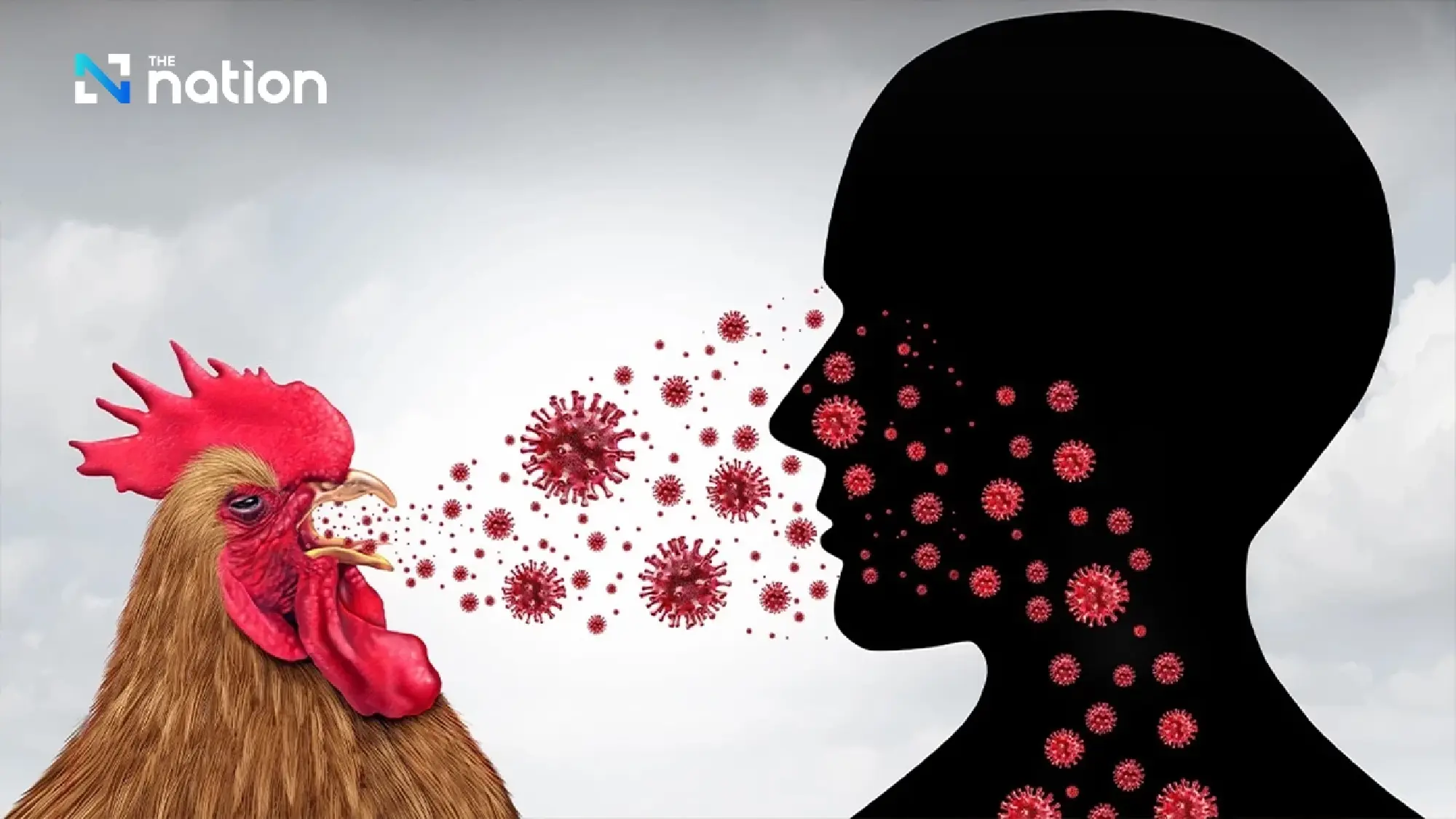 Washington state reports world’s first human H5N5 bird flu death