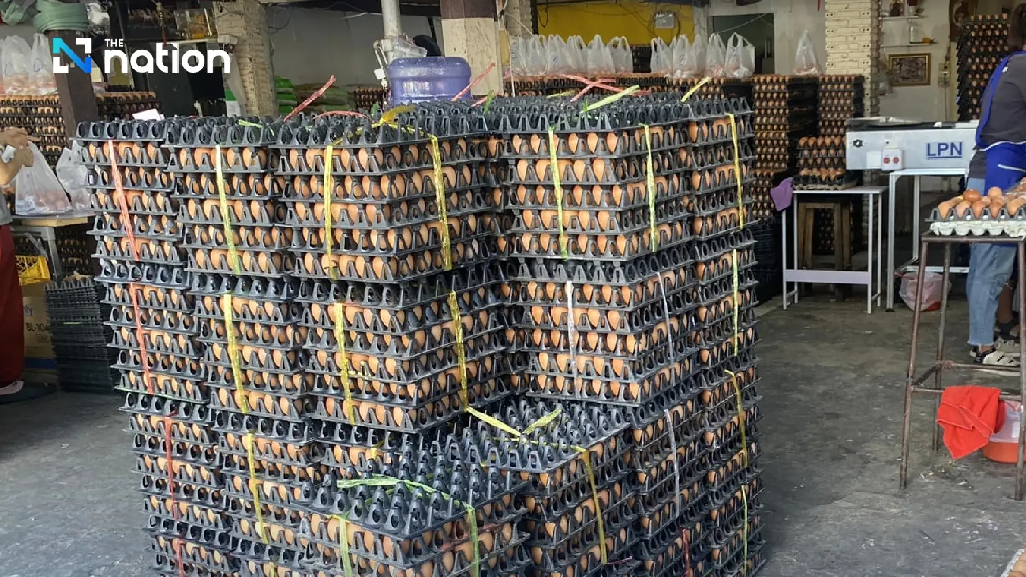 Thai Egg Market Stabilises Through Exports, Faces Price War at Home