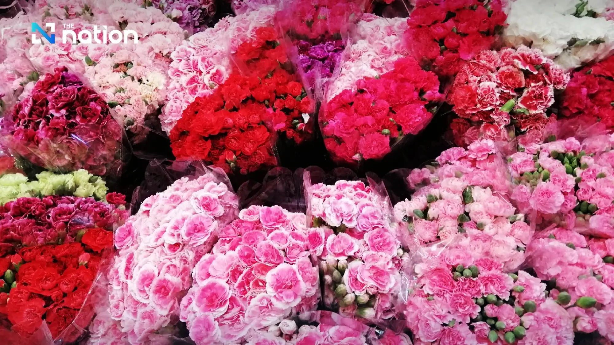 Explore Pak Khlong Talad: Bangkok’s Vibrant Flower Market