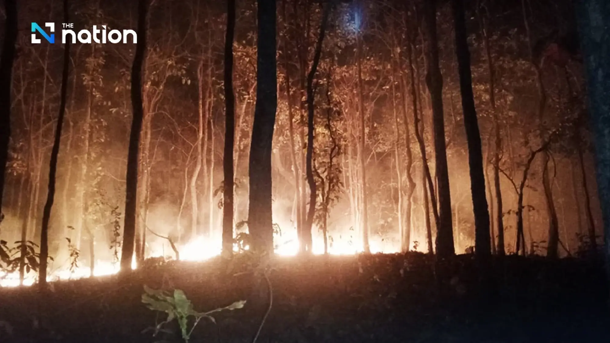 Farm burning fuels smog risk as Bangkok’s PM2.5 levels rise ahead of winter