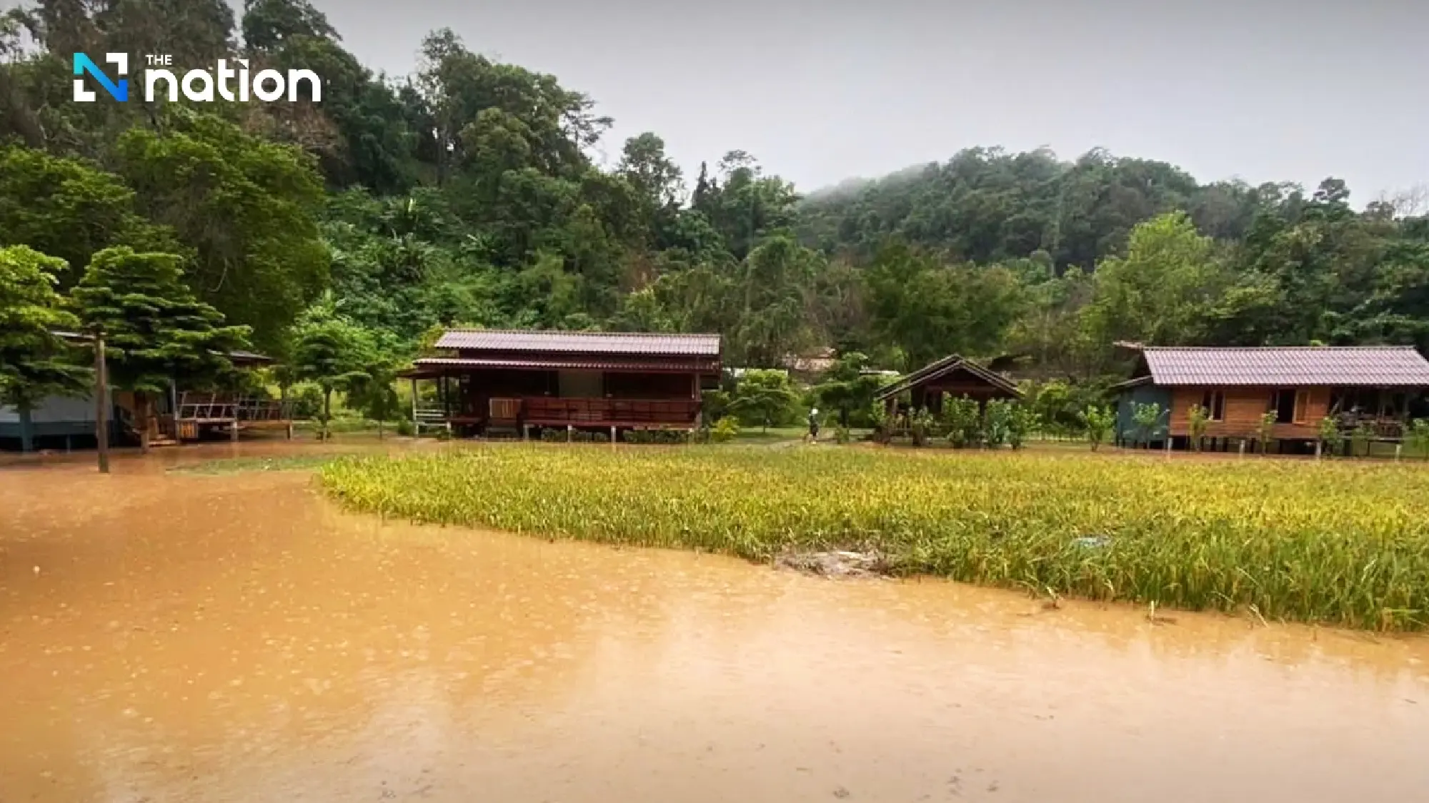 Flash floods hit Doi Inthanon as heavy rain submerges Mae Klang Luang’s rice terraces