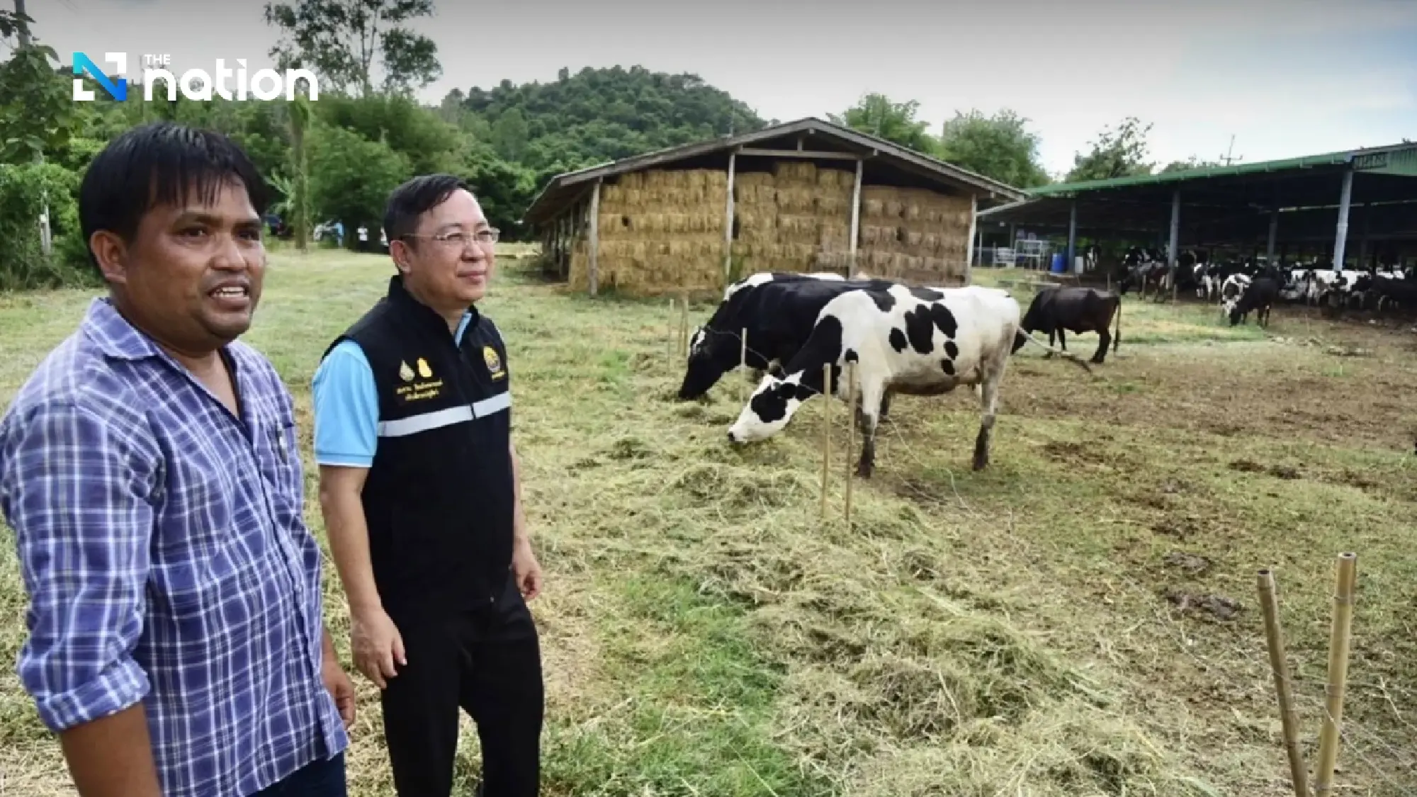 Livestock department assures Thai raw milk is safe and high quality 