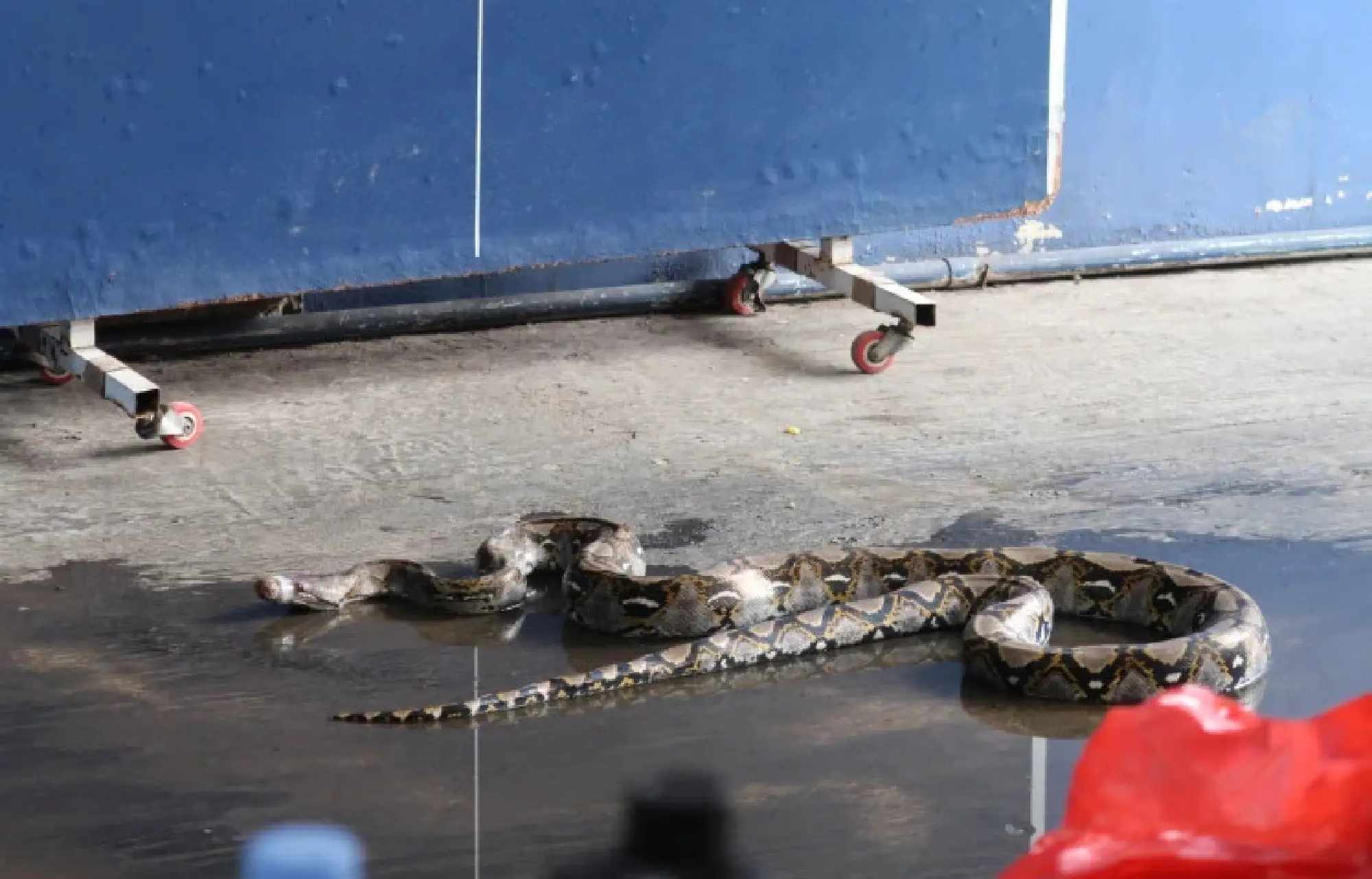 Always on call: How Indonesian firefighters won the public’s heart