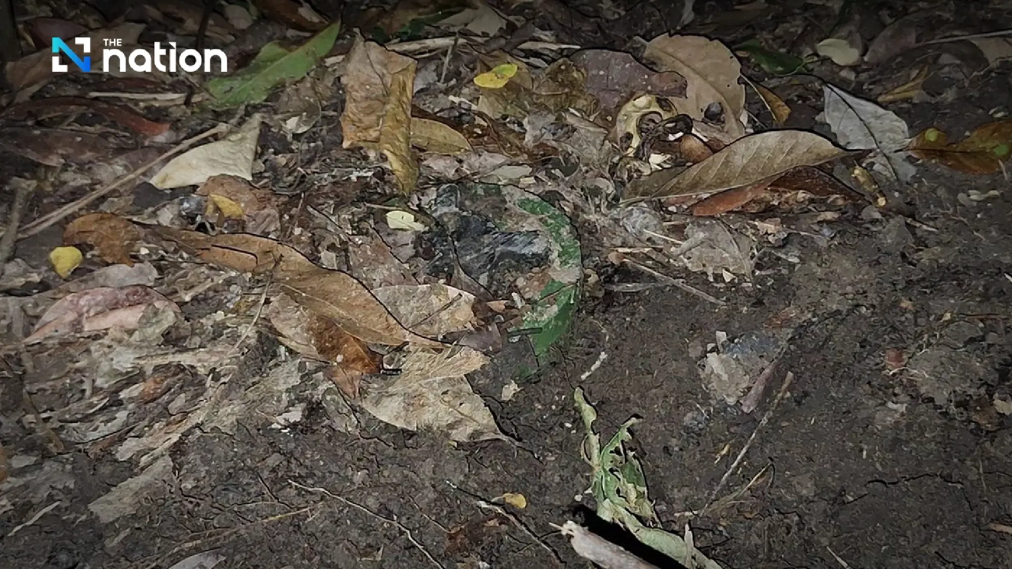 Thai Army finds two more landmines at Chong An Ma, vows continued clearance along border