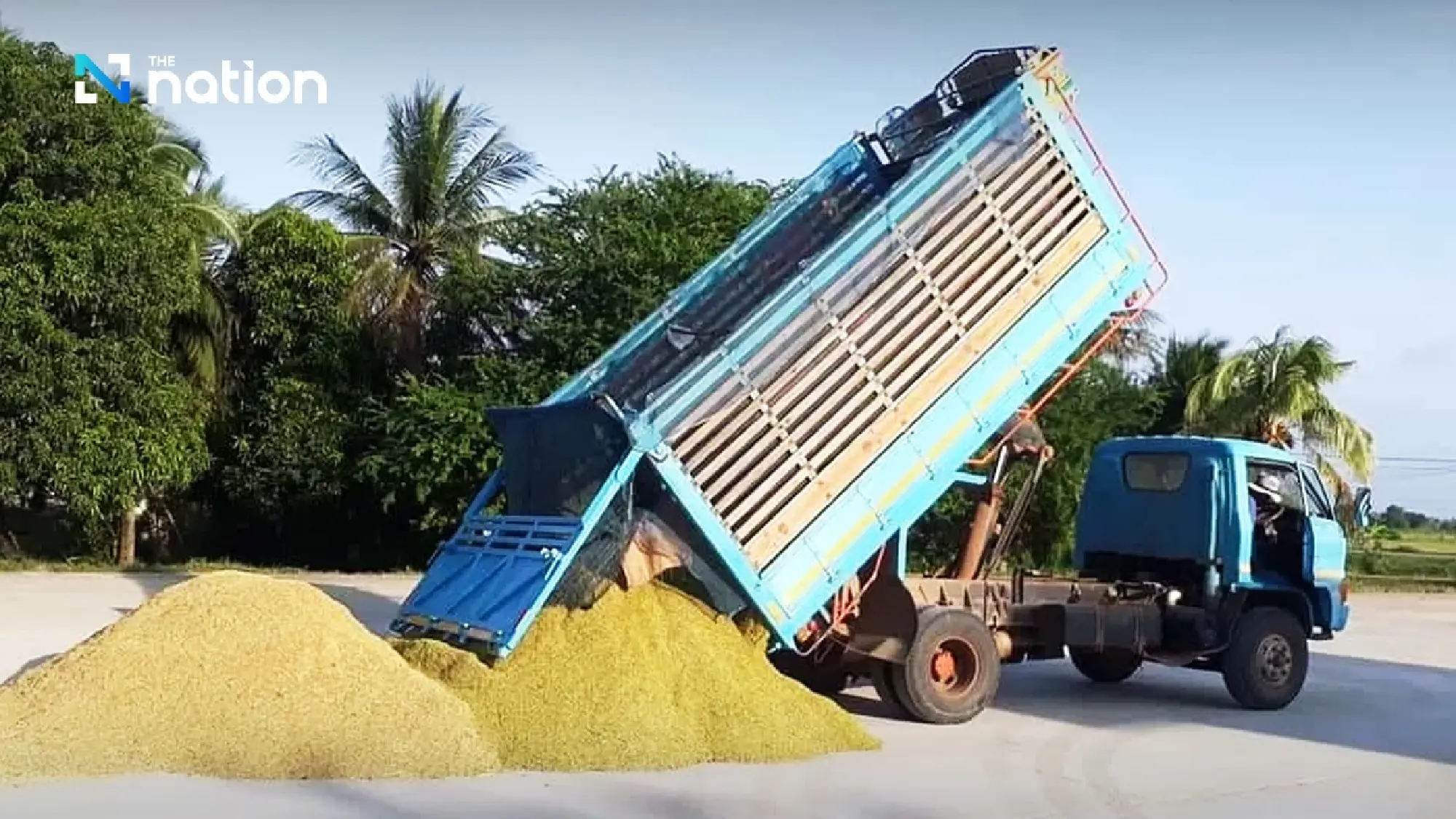 TDRI warns of potential issues with Thailand's 3 million-tonne rice absorption scheme