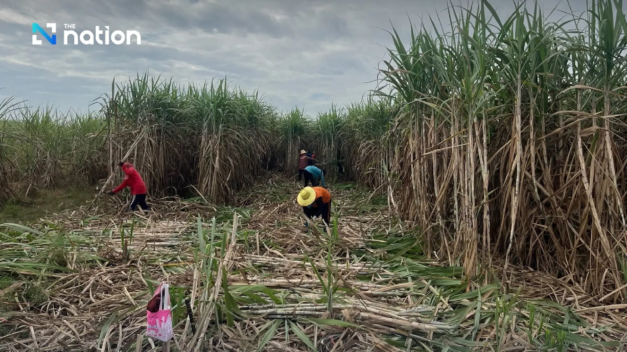 Sugar price hike of 3 baht reversed after PM’s intervention to safeguard popularity