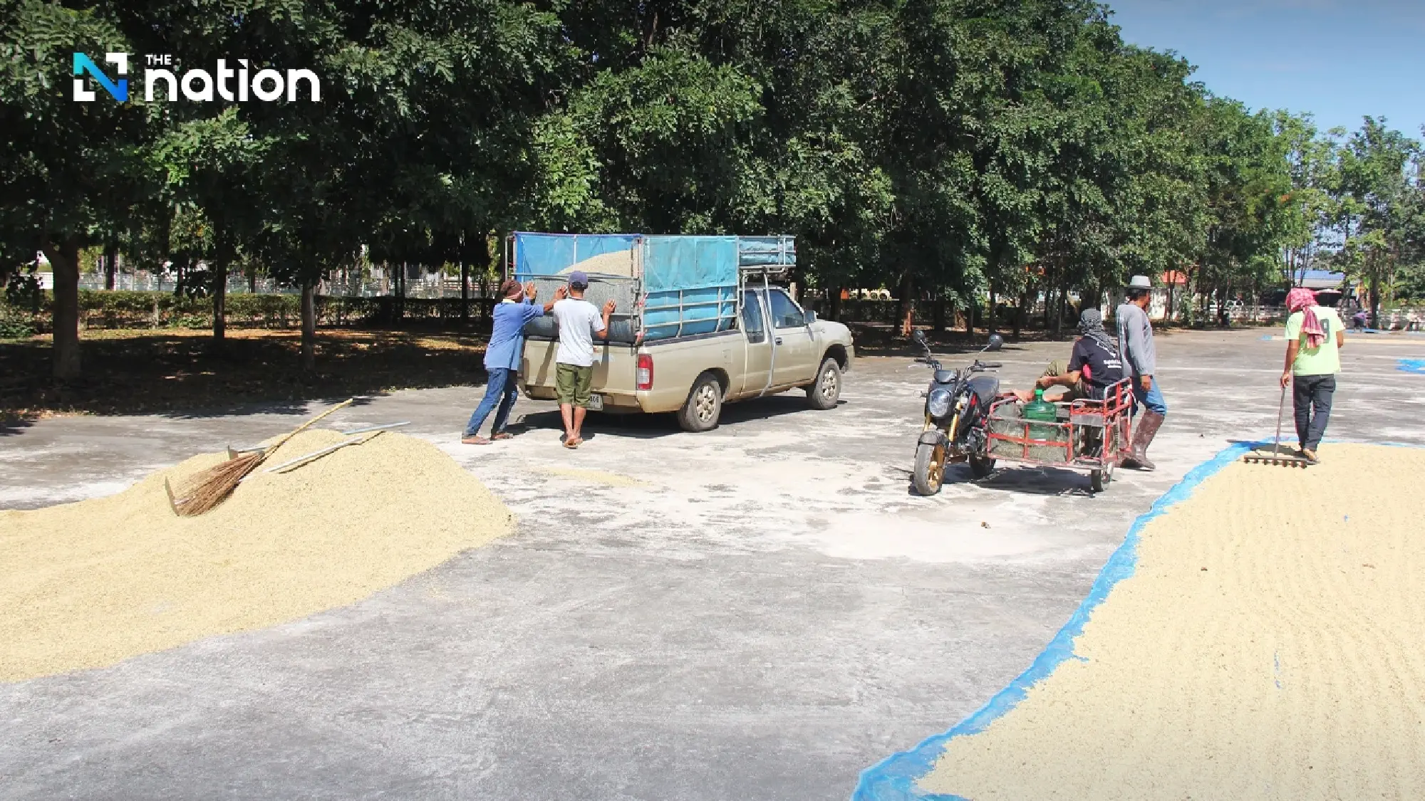 TDRI warns of potential issues with Thailand's 3 million-tonne rice absorption scheme