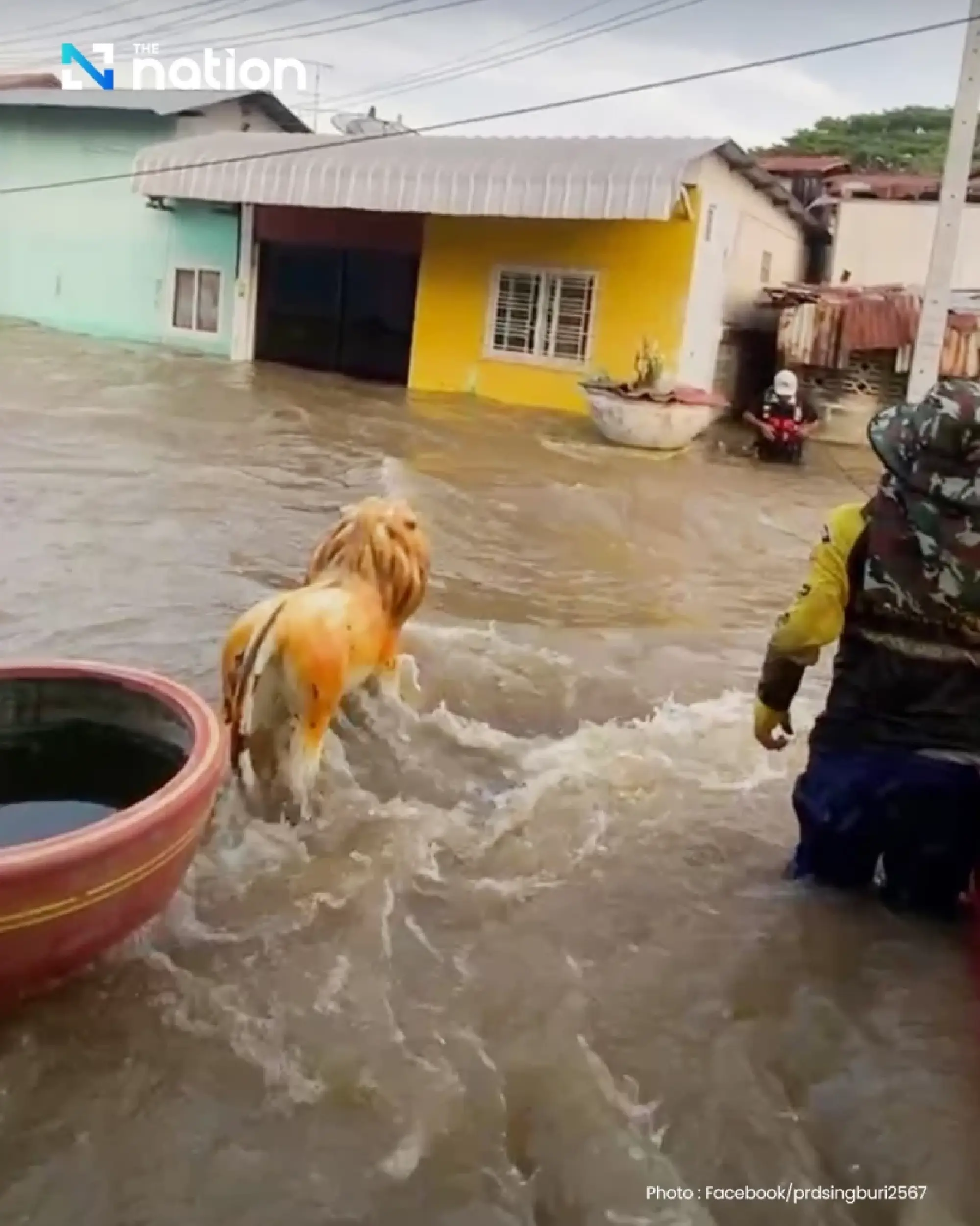 Flood barrier collapses in In Buri, Sing Buri — three villages submerged, water surges toward key areas