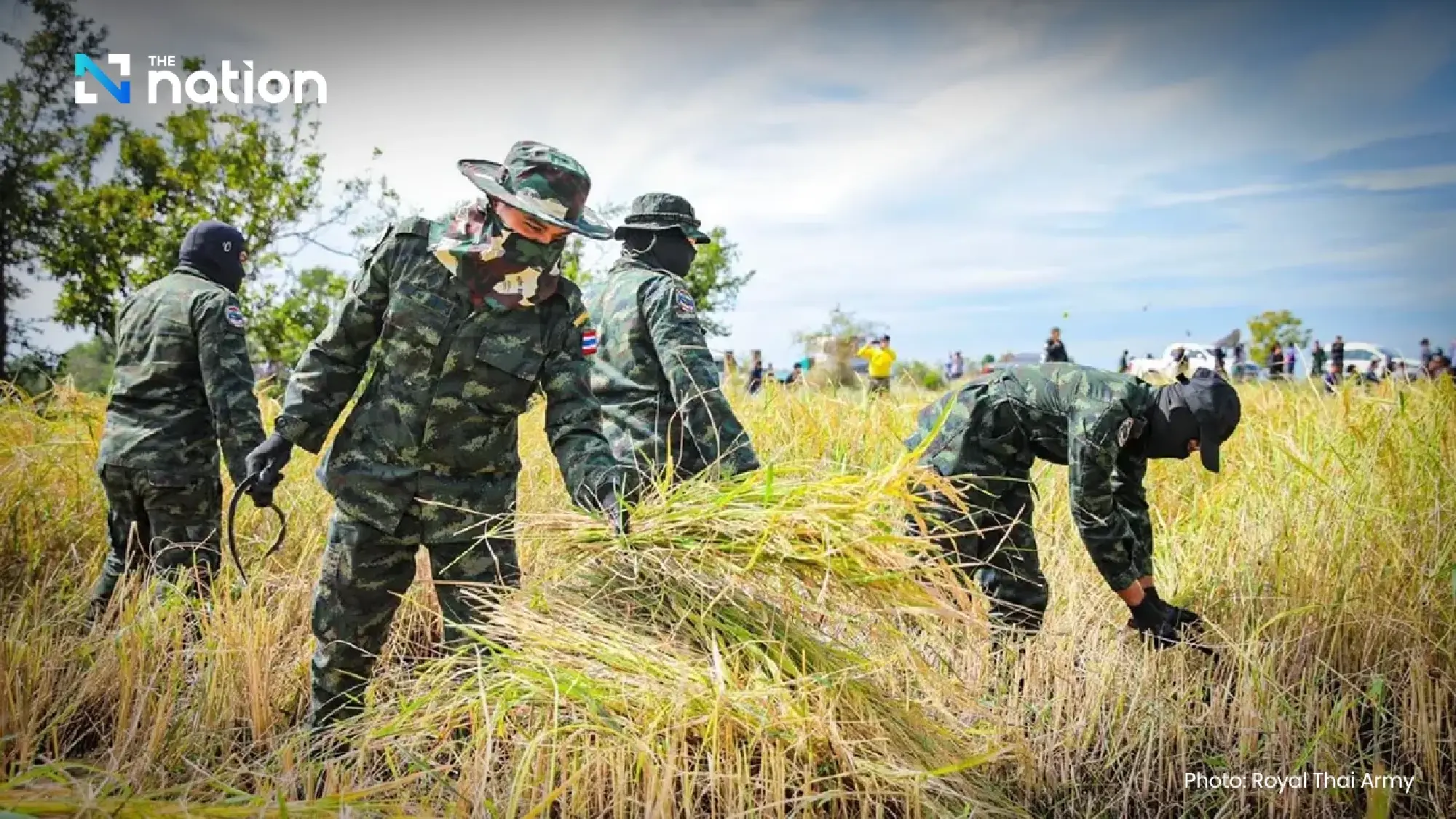 Army troops harvest rice to help border farmers, affirming Thai sovereignty