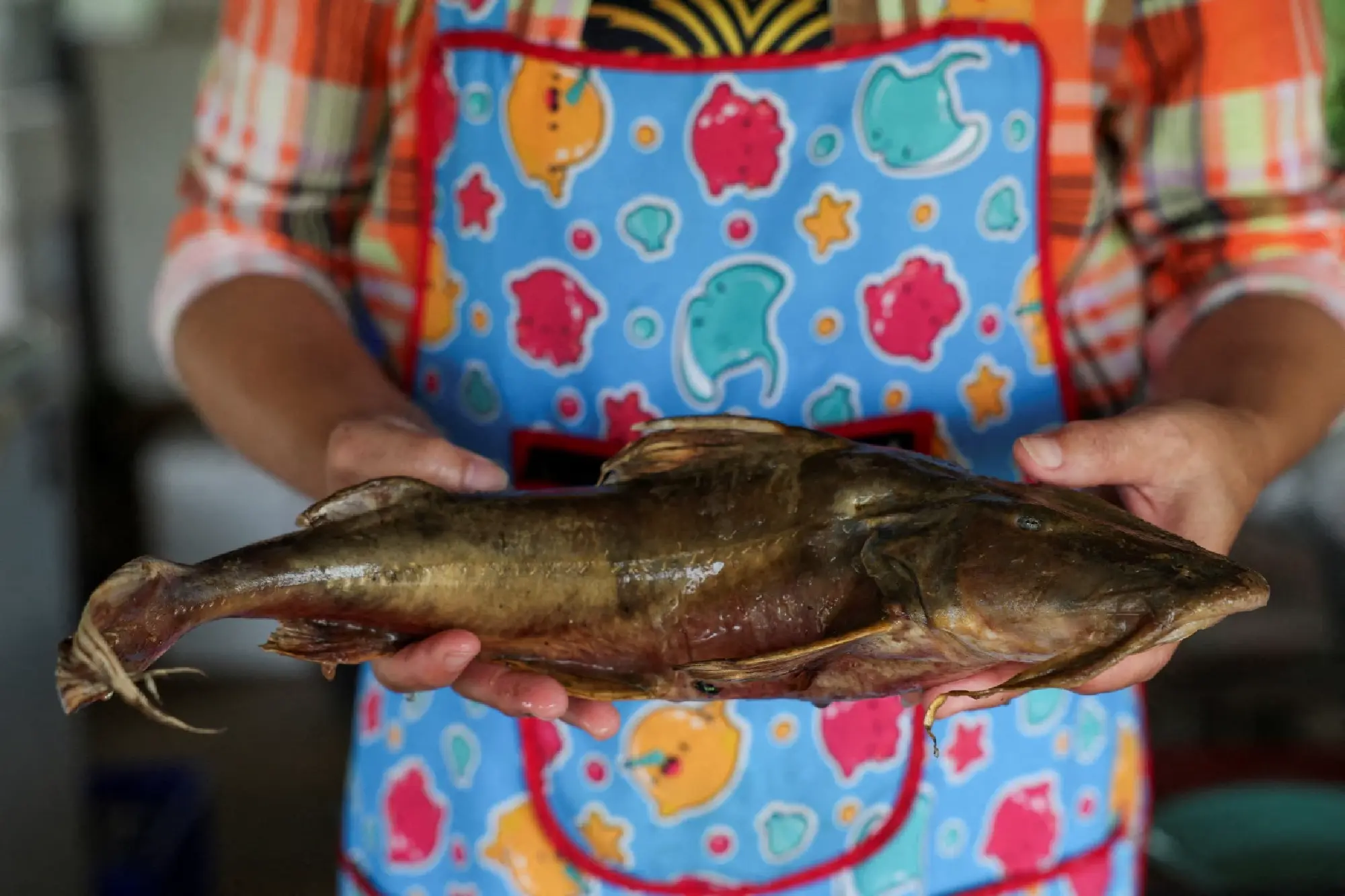 Toxic mines put Southeast Asia's rivers, people at risk, study says