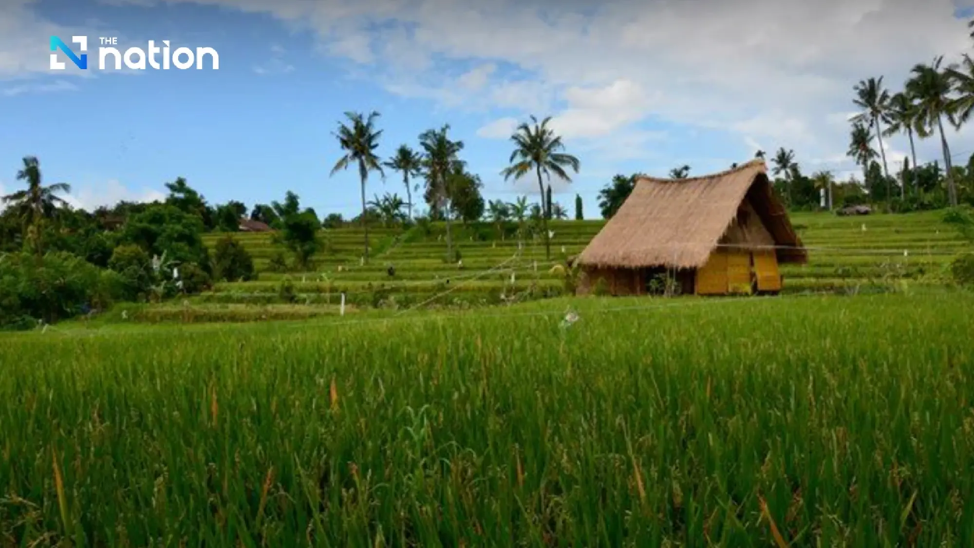 Weird and wonderful Thai laws you probably never knew existed