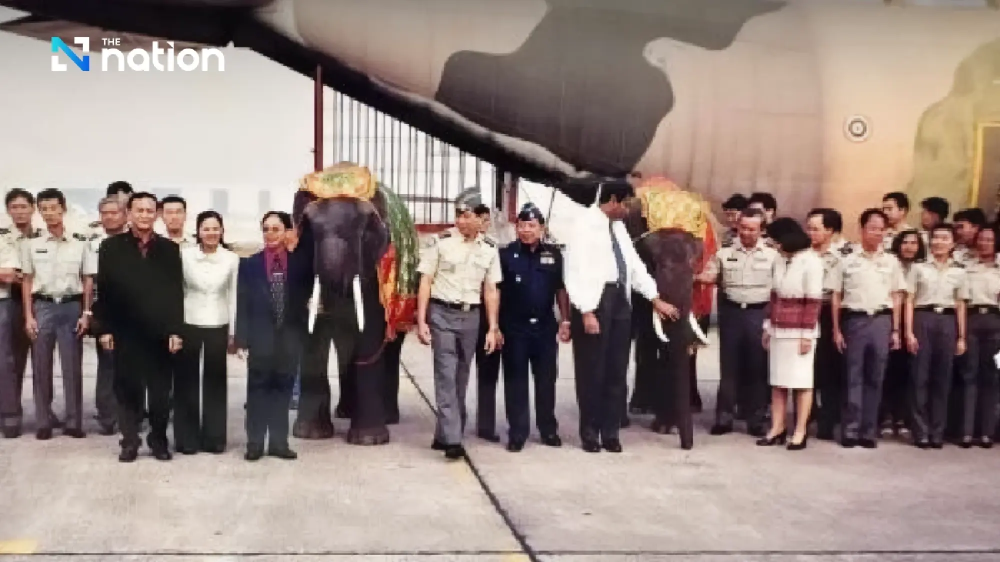 Meet “Pratu Pha” and “Srinarong”: Thailand’s long-lost goodwill elephants the nation hopes to bring home