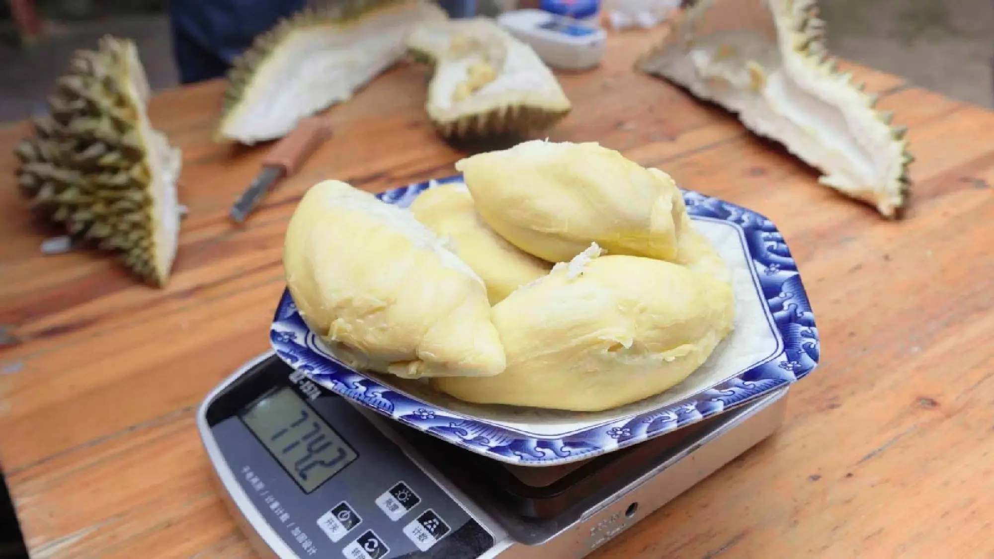 Cultivation in Yunnan paves the way for 'durian freedom'