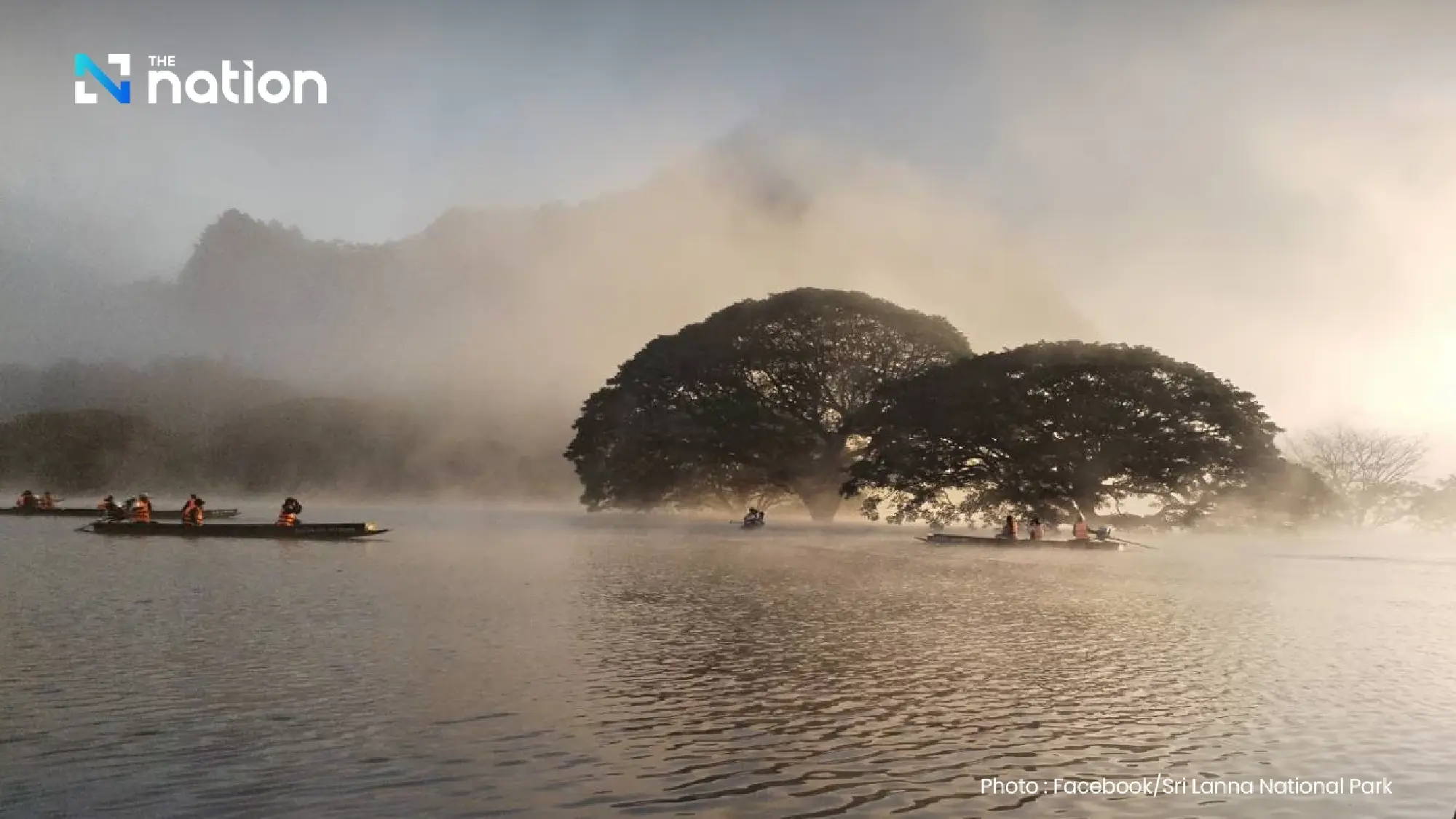 Discover Thailand's hidden gem: Boat tour to see 100-year-old giant monkey pod trees