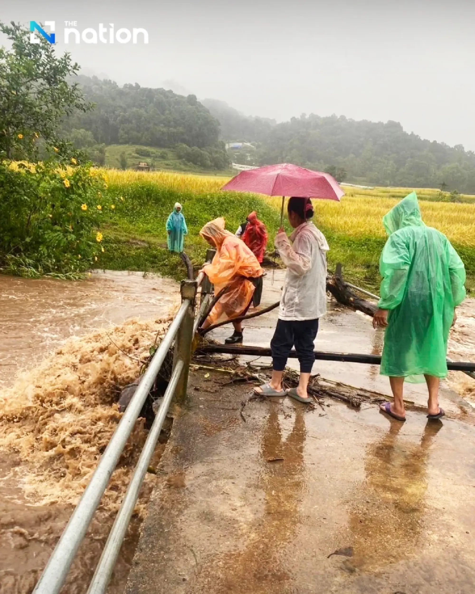 Flash floods hit Doi Inthanon as heavy rain submerges Mae Klang Luang’s rice terraces
