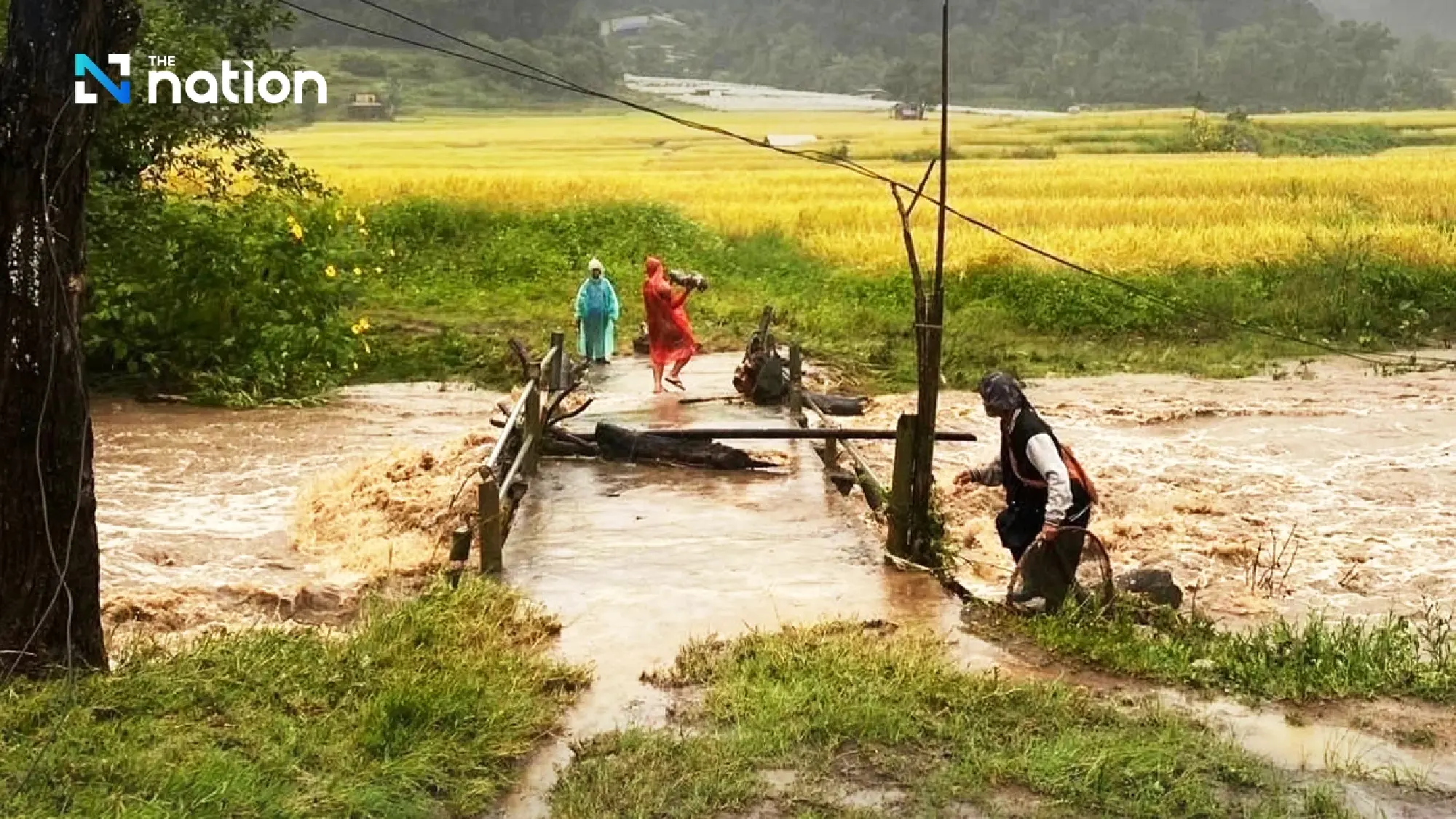 Flash floods hit Doi Inthanon as heavy rain submerges Mae Klang Luang’s rice terraces