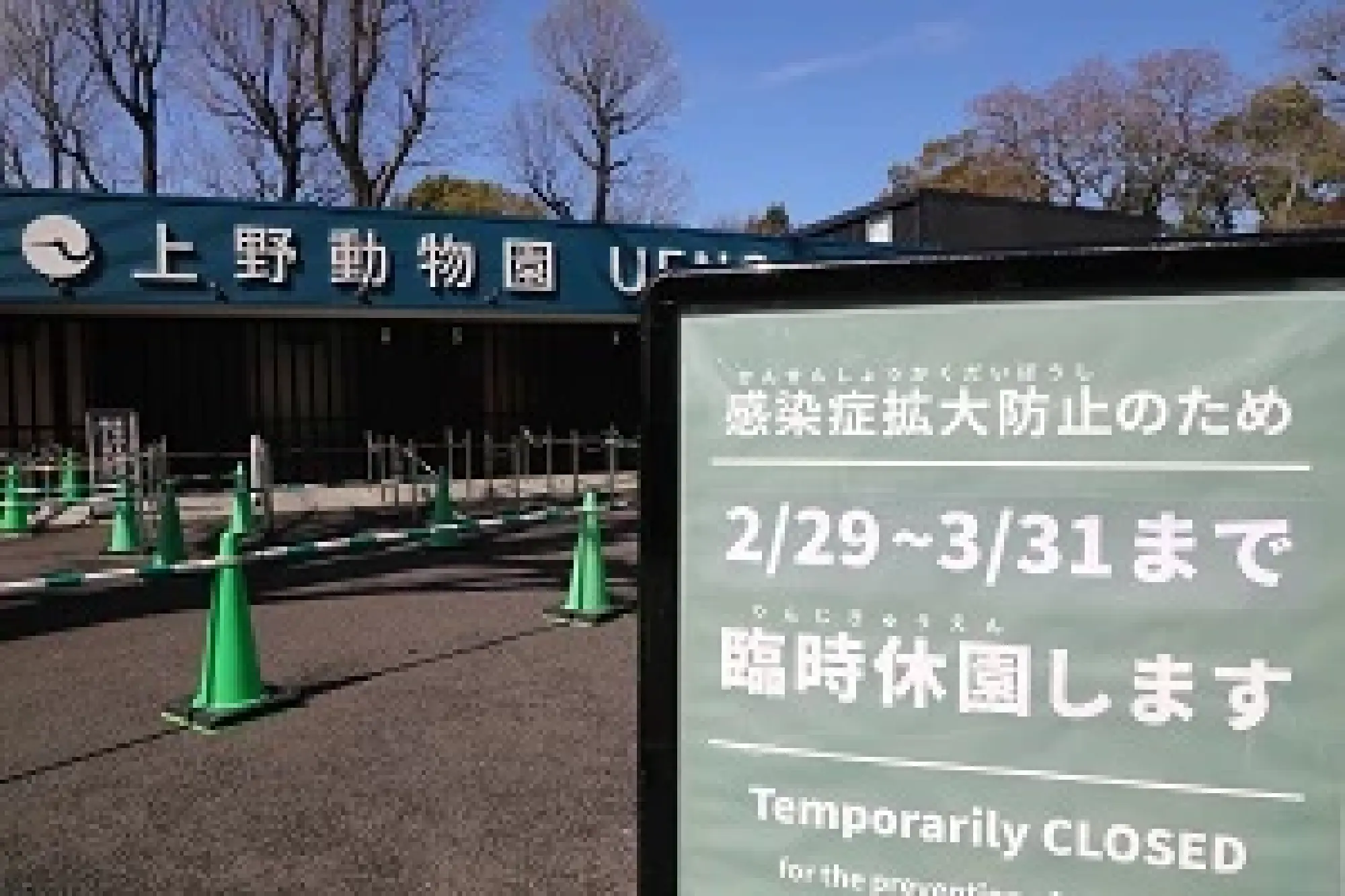 Ueno Zoo: From Wartime Struggles to Modern-Day Success (2)