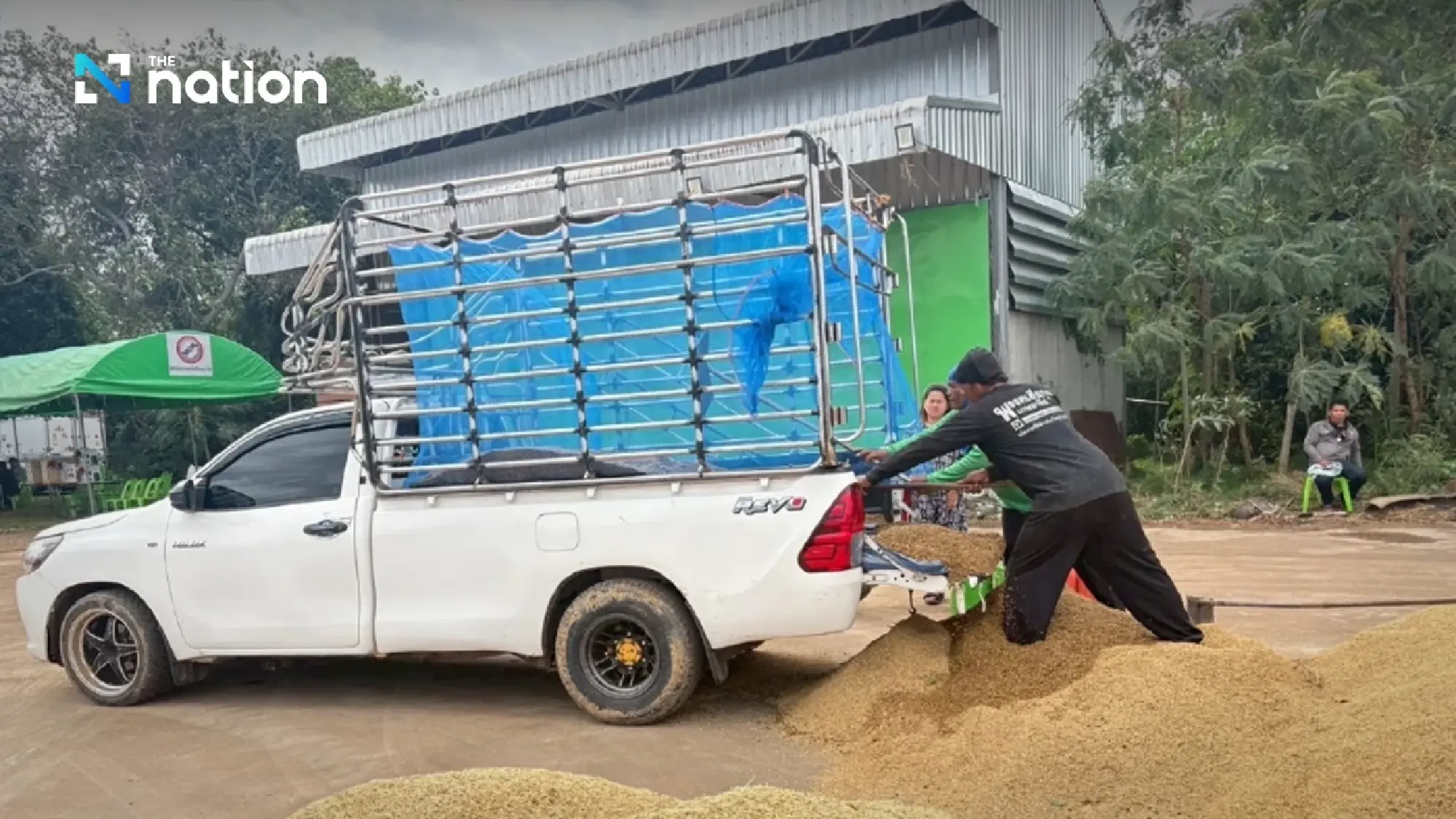 Thai rice market surges as jasmine rice hits 16,100 baht per tonne