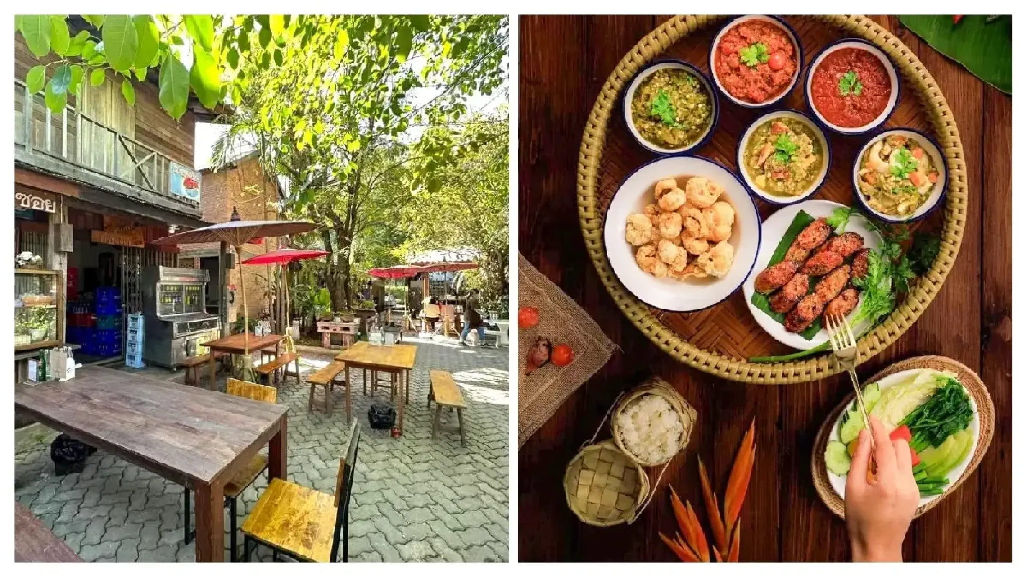 Great flavours, modest prices: 137 restaurants earn the 2026 Bib Gourmand