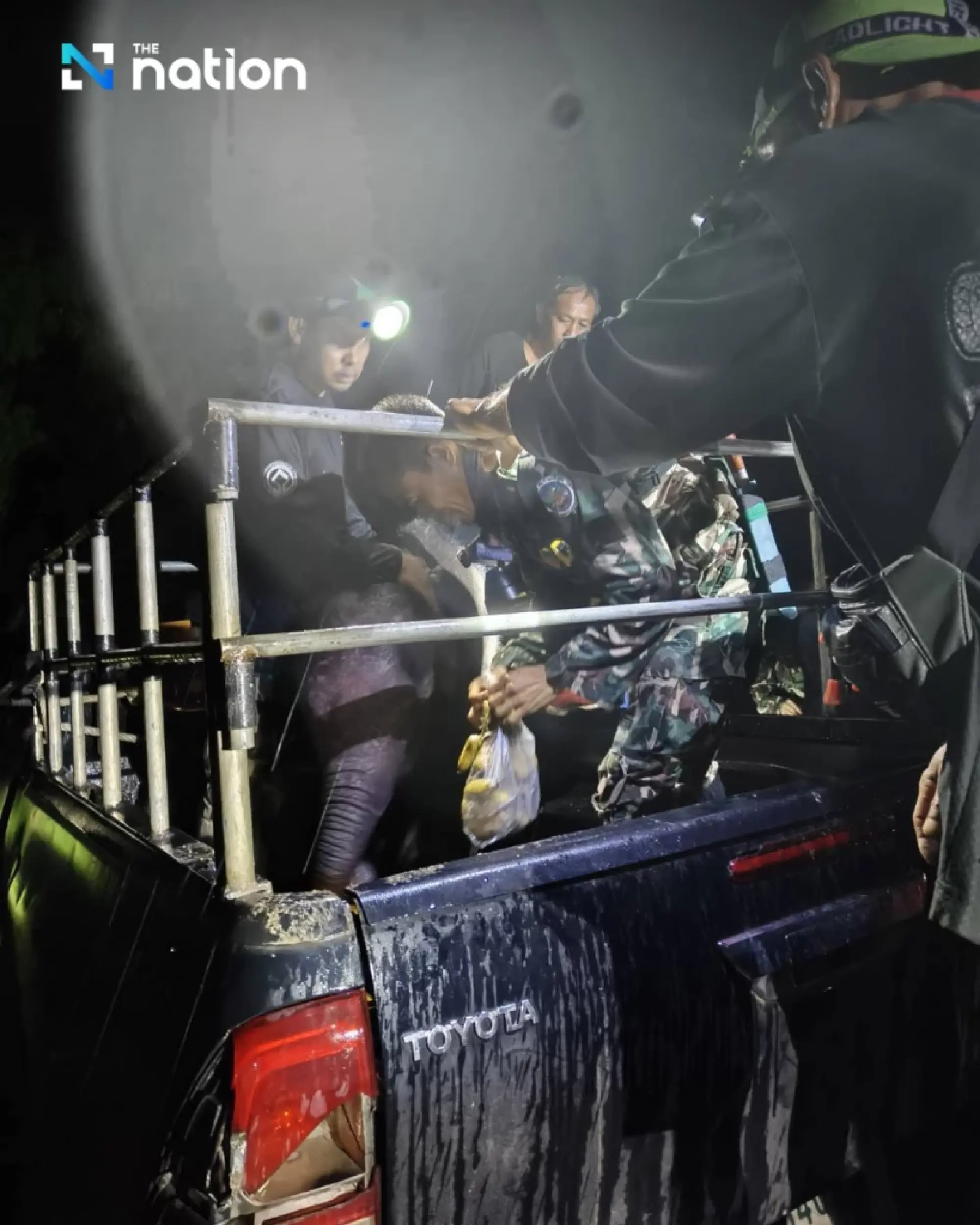 Lost baby elephant in Huai Kha Khaeng rescued safely after five-day search