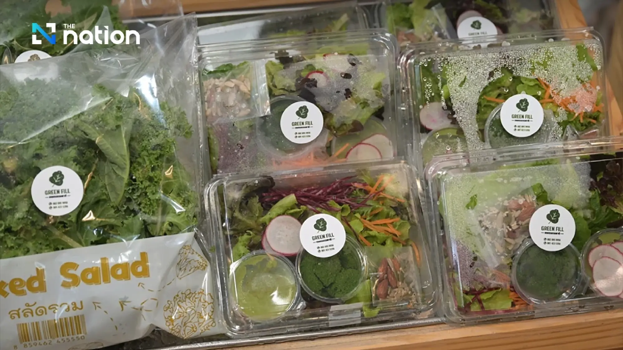 NXPO promotes 'Plant-Rich Diet' as a health and eco-friendly food trend