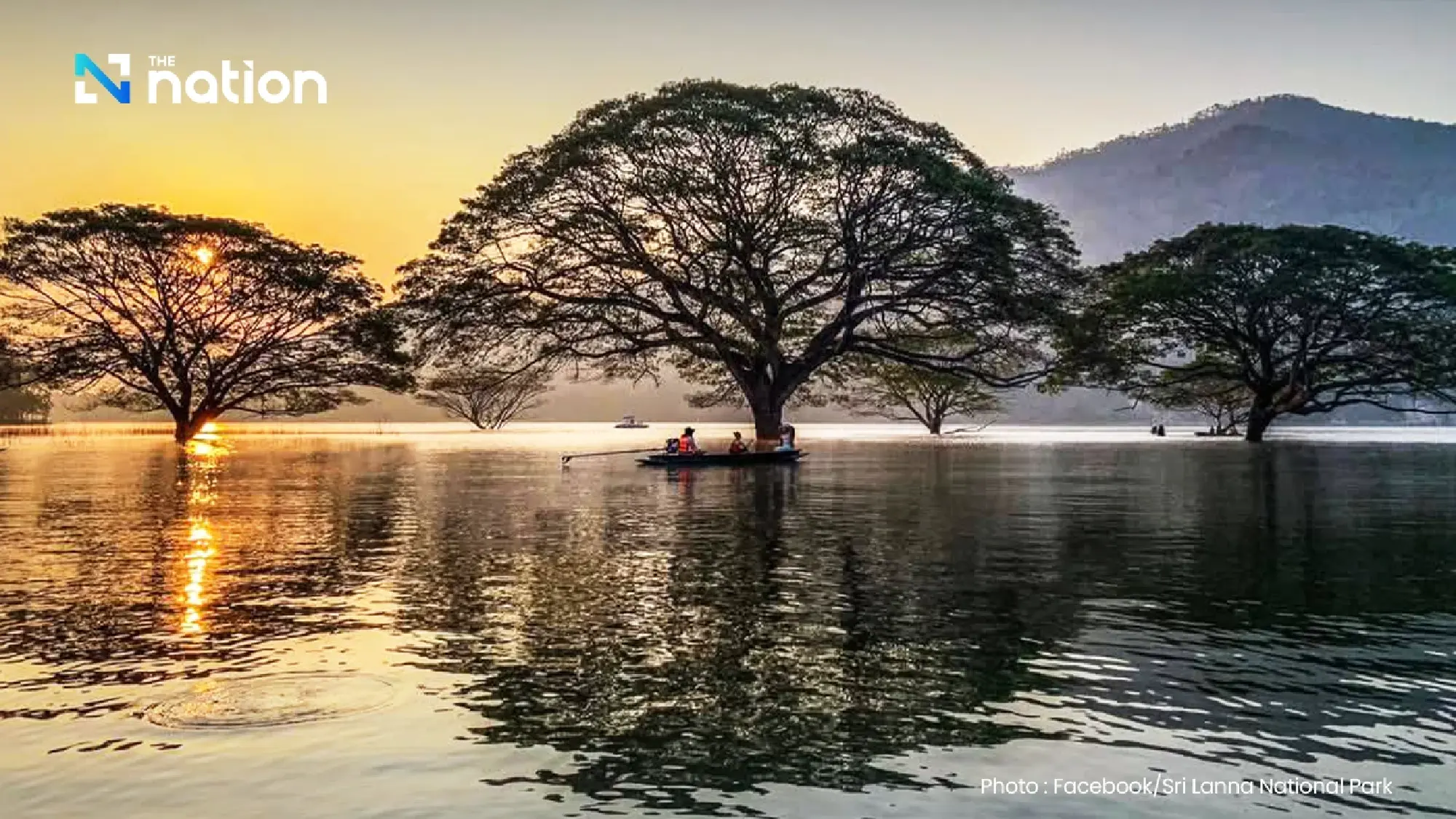 Discover Thailand's hidden gem: Boat tour to see 100-year-old giant monkey pod trees