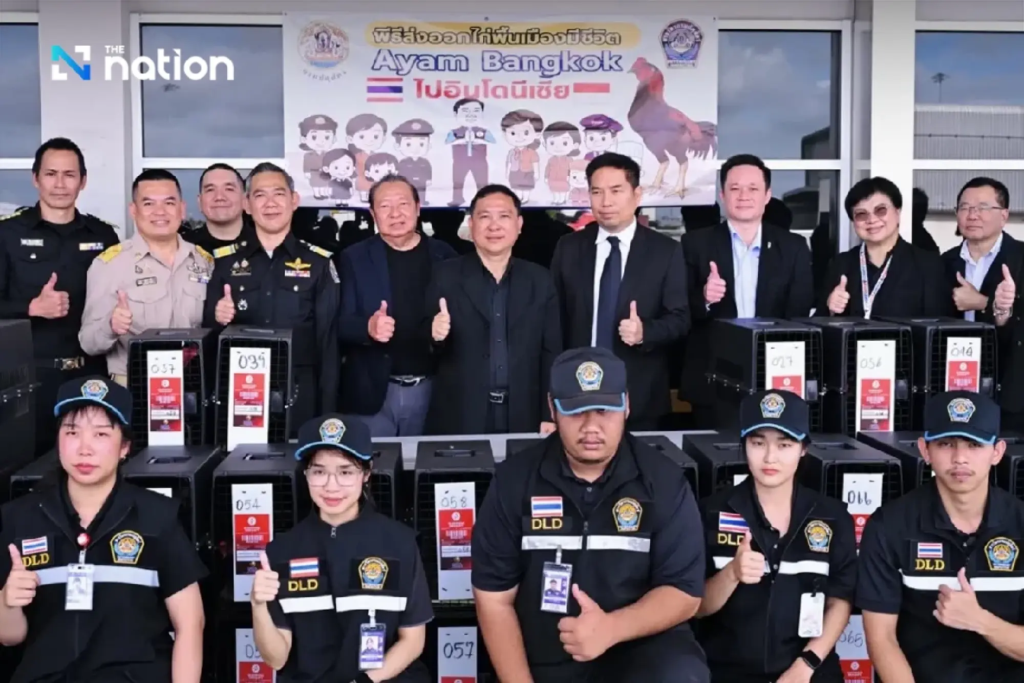 Thailand exports 403 Thai game fowl to Indonesia in four months